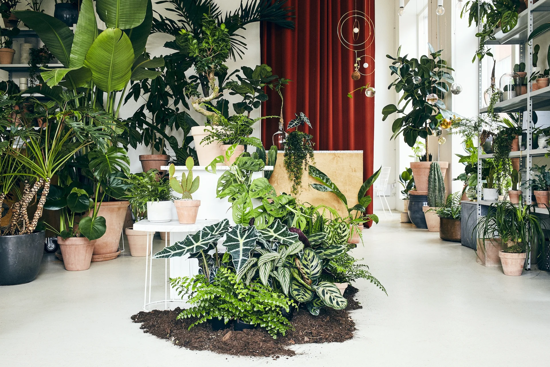 Plant København.jpg