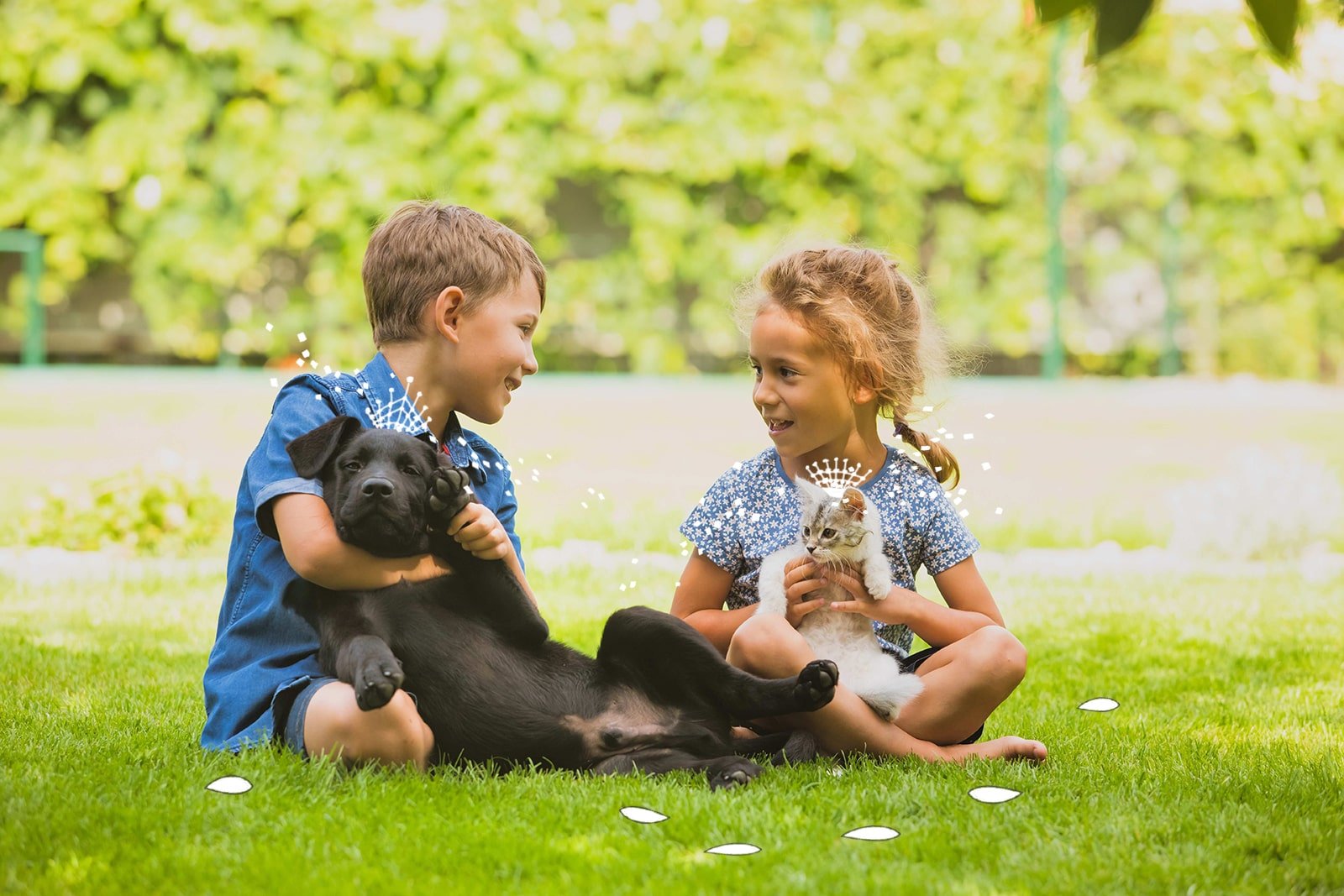Wurmkur oder Kotprobe: Wie Hunde und Katzen vor Würmern schützen?