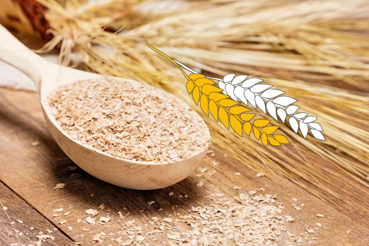 katzenstreu holzpellets Tatzenstreu