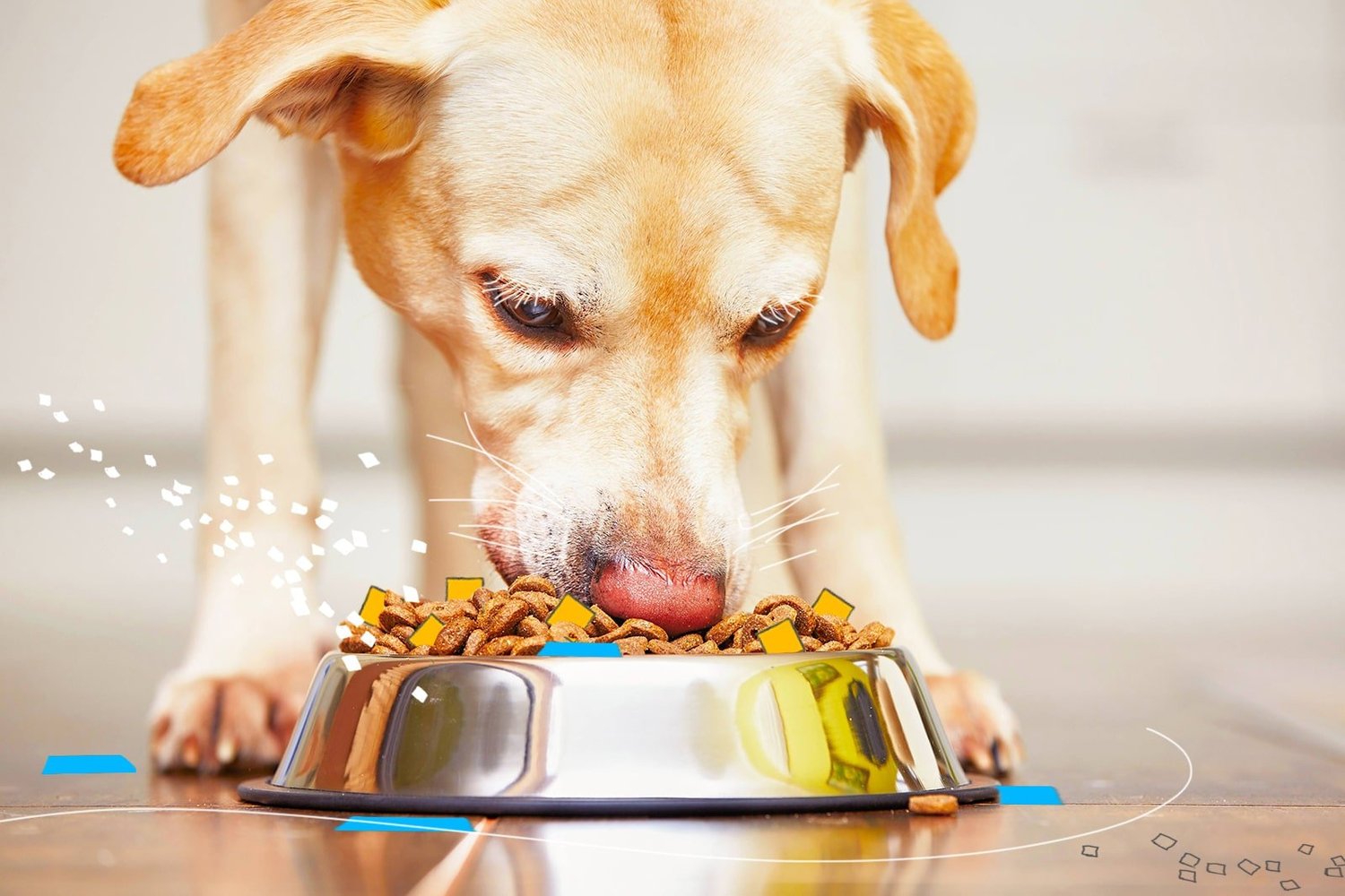 trockenfutter in ziegelform Nassfutter Ziege Pur fr Deinen Hund kaufen