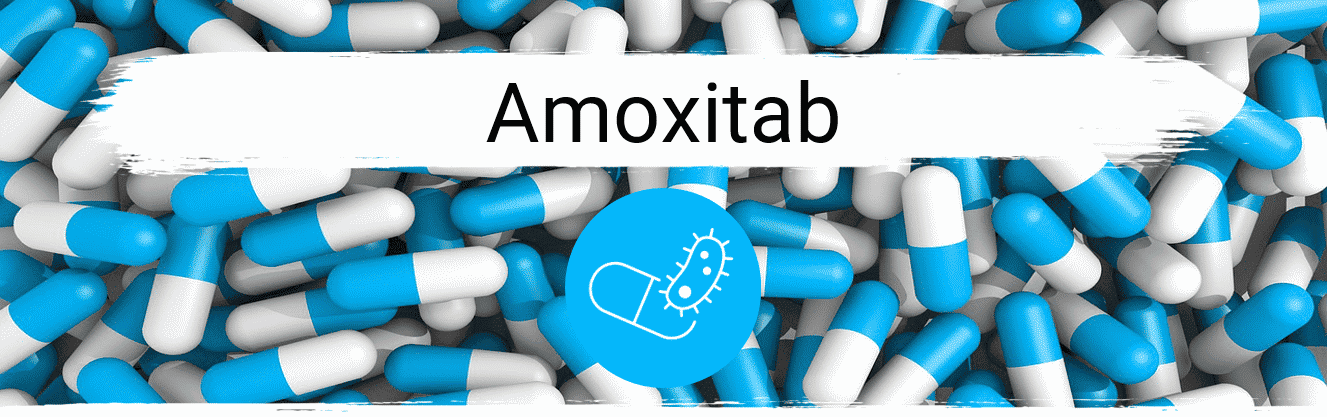 Amoxicillin hund kaufen