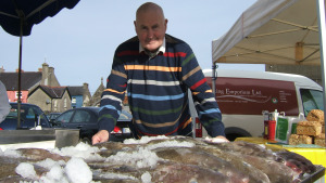 fish-stand-2.jpg