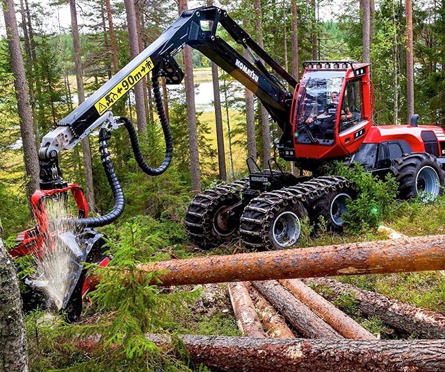 From an environmental, economic and employment viewpoint...forestry, and the managed processing of the timber we need for life, is an industry of the future, and we in Hall PR are part of it. 
So, if you go down to the woods today, chances are you wi