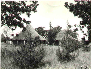 6 huts.jpeg