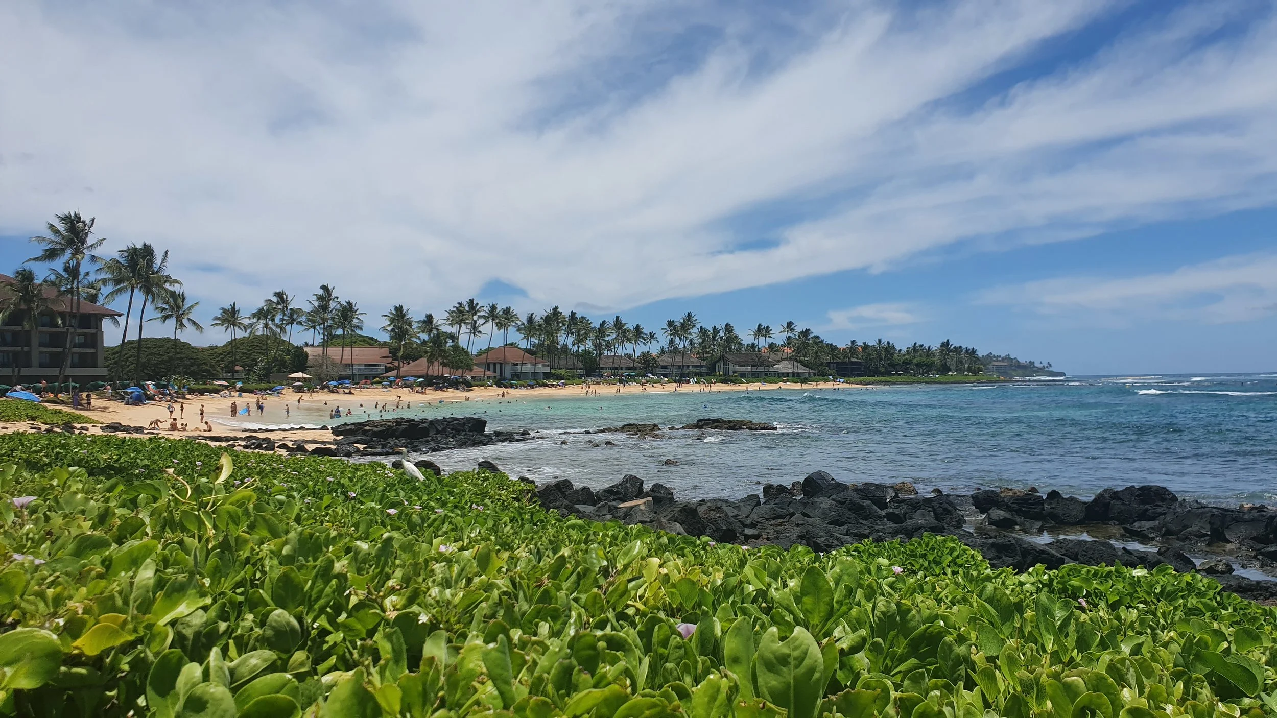 20190704_124337.jpg