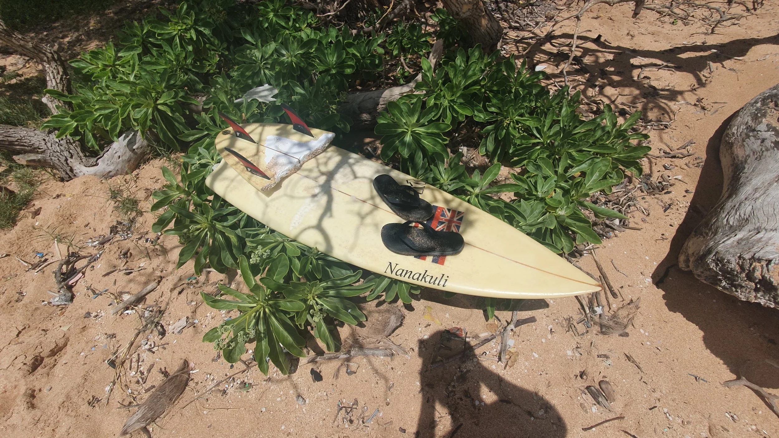 20190707_112507.jpg