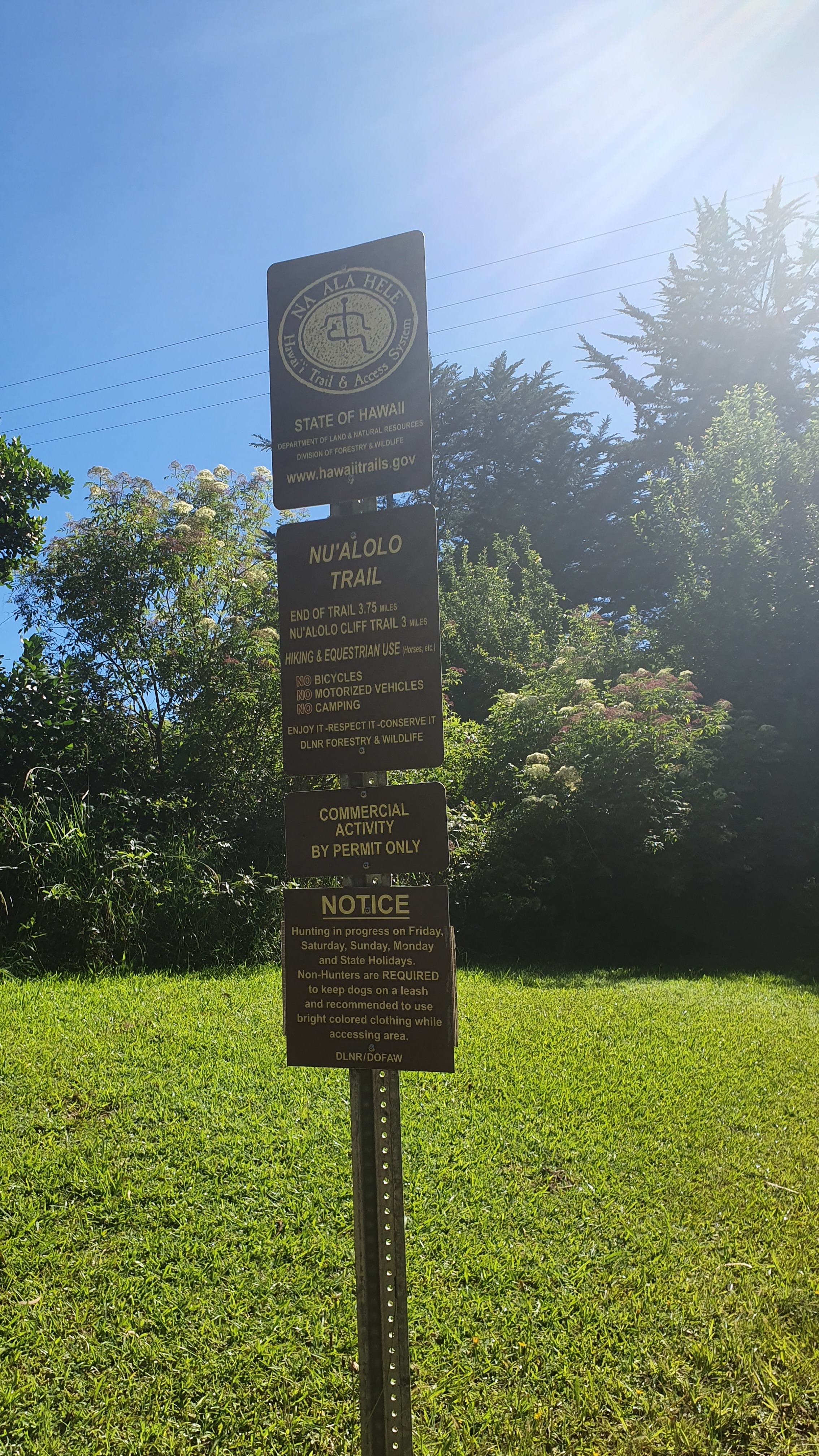 20190712_093519.jpg