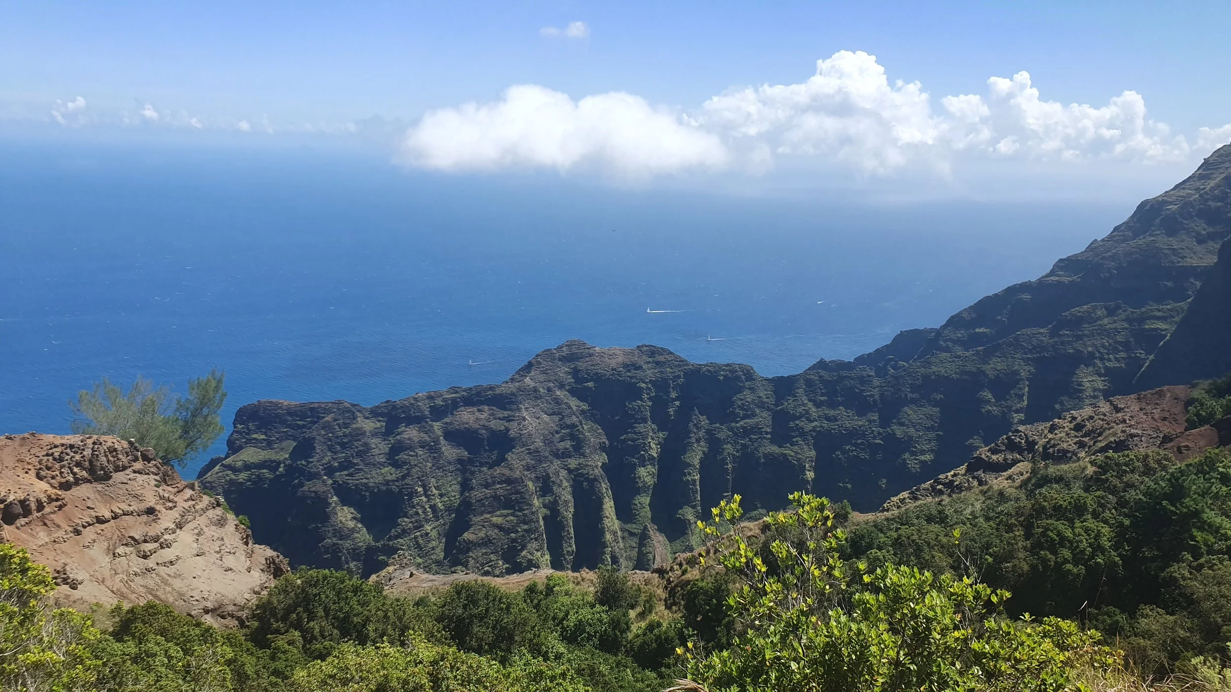 20190712_104423.jpg