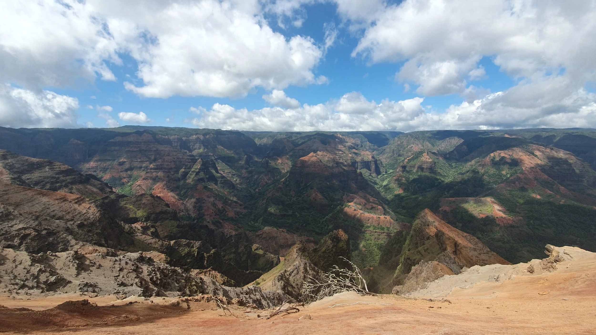 20190712_152452.jpg