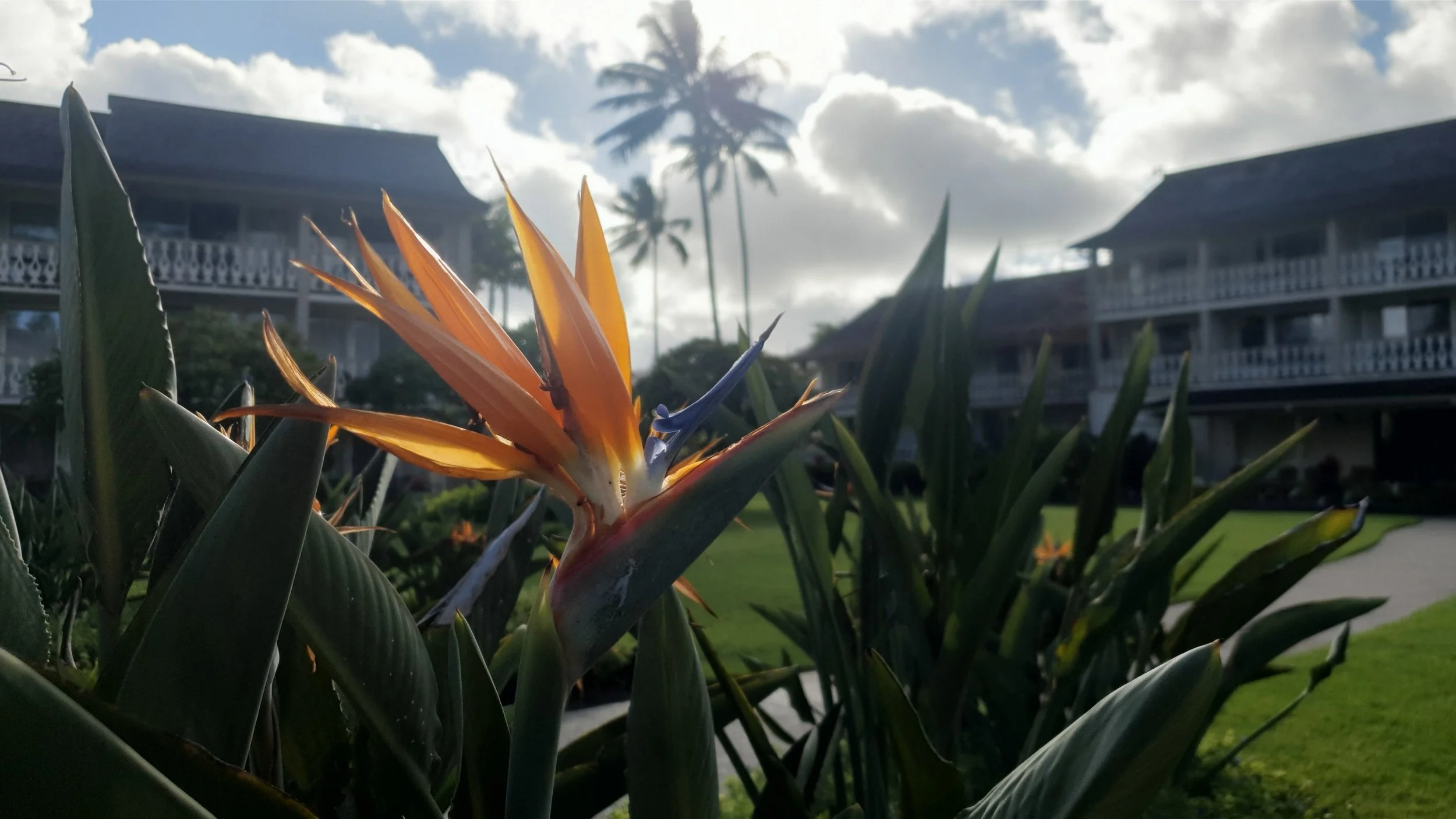 20190714_172841.jpg