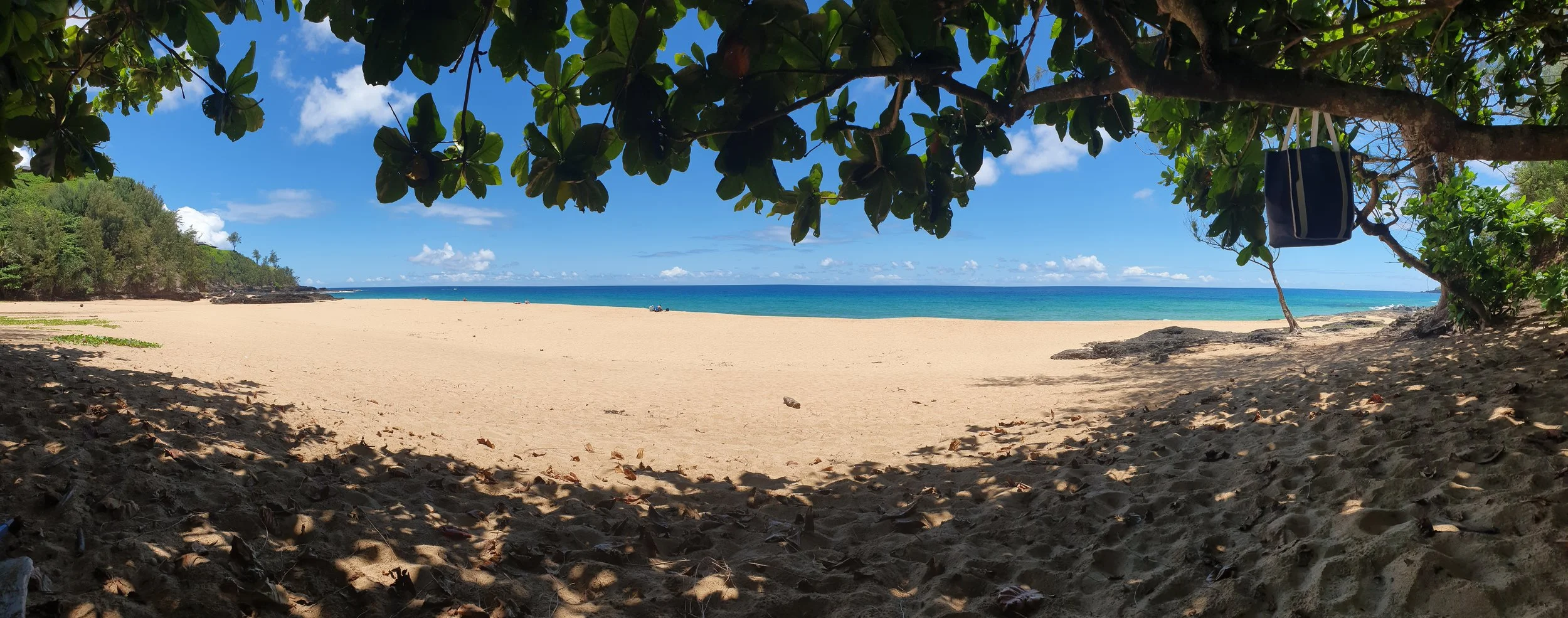 20190715_121303.jpg