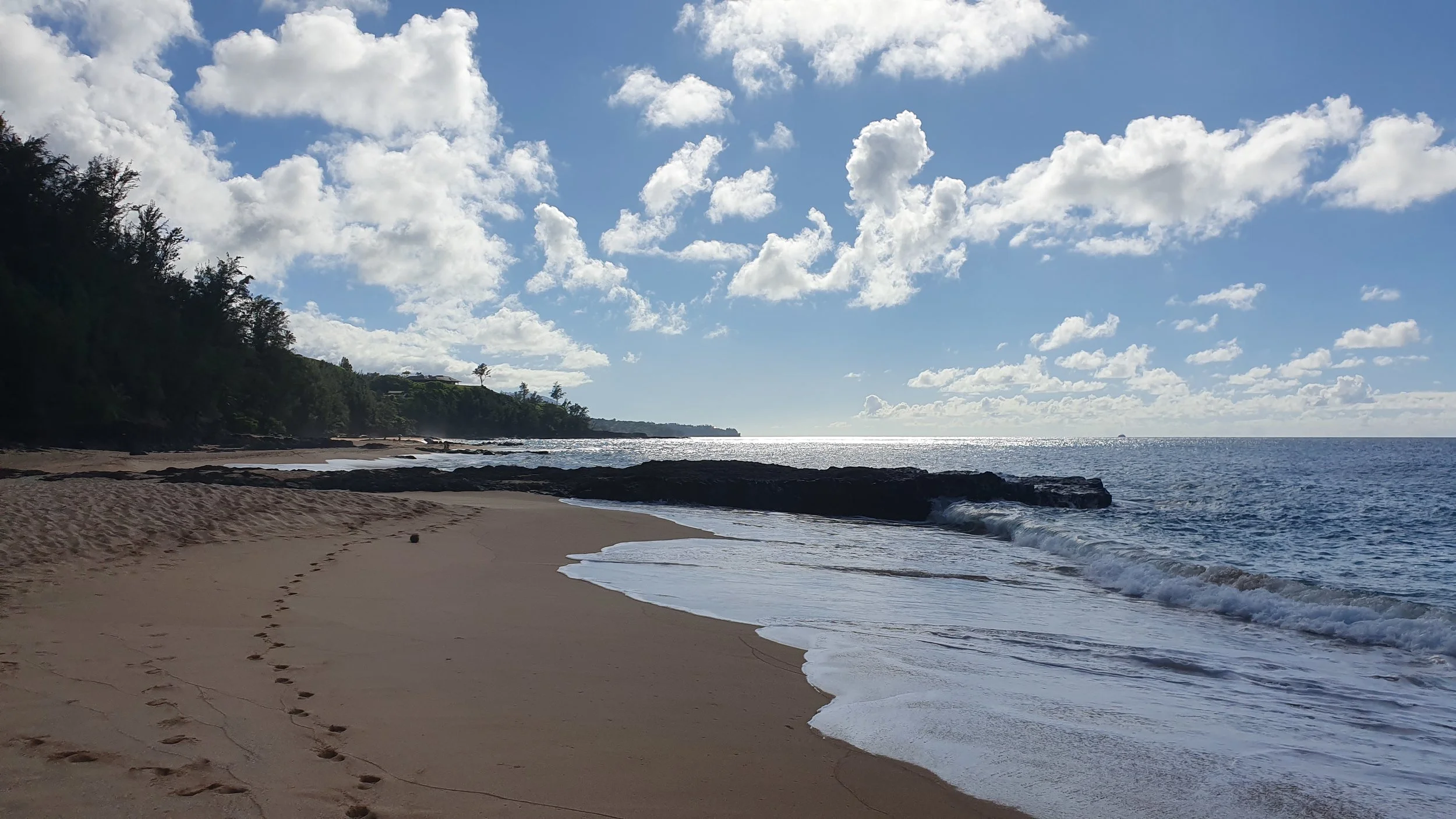 20190715_164840.jpg