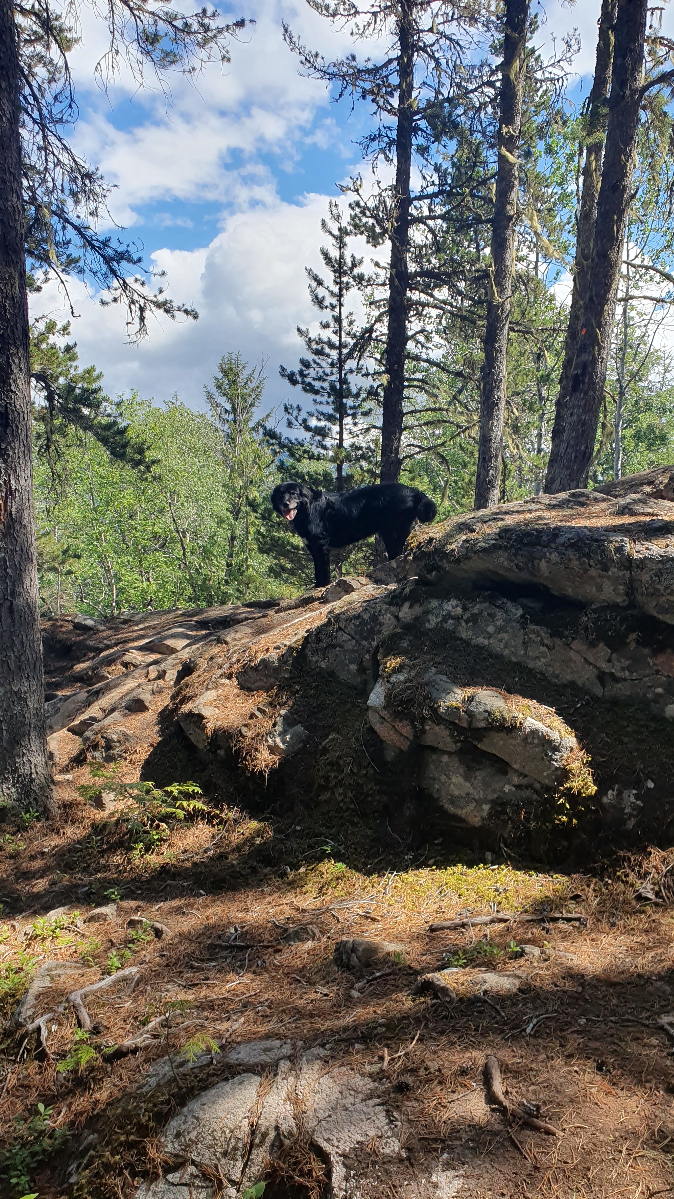 20190601_143514(0).jpg