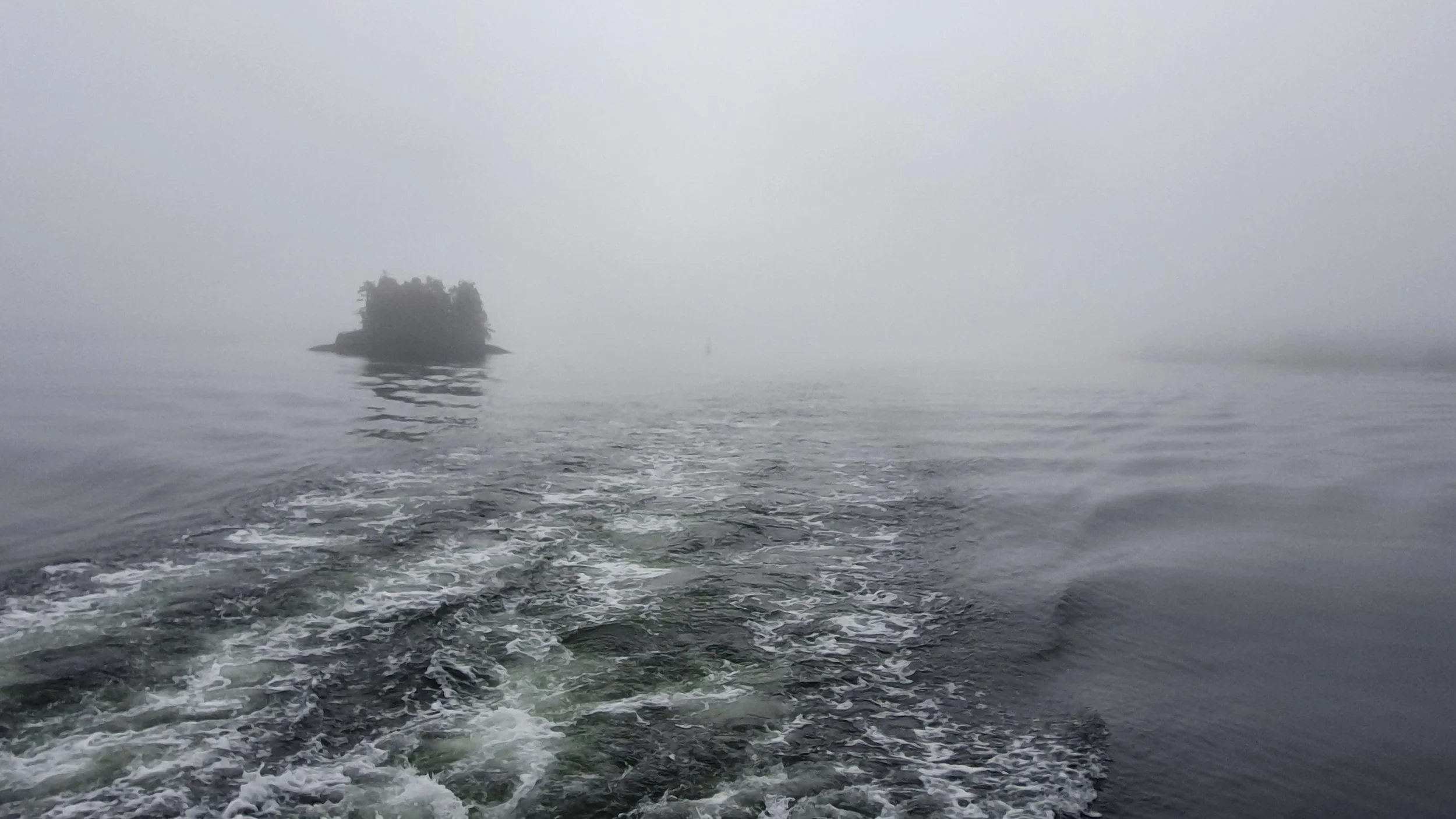 20190626_091259.jpg