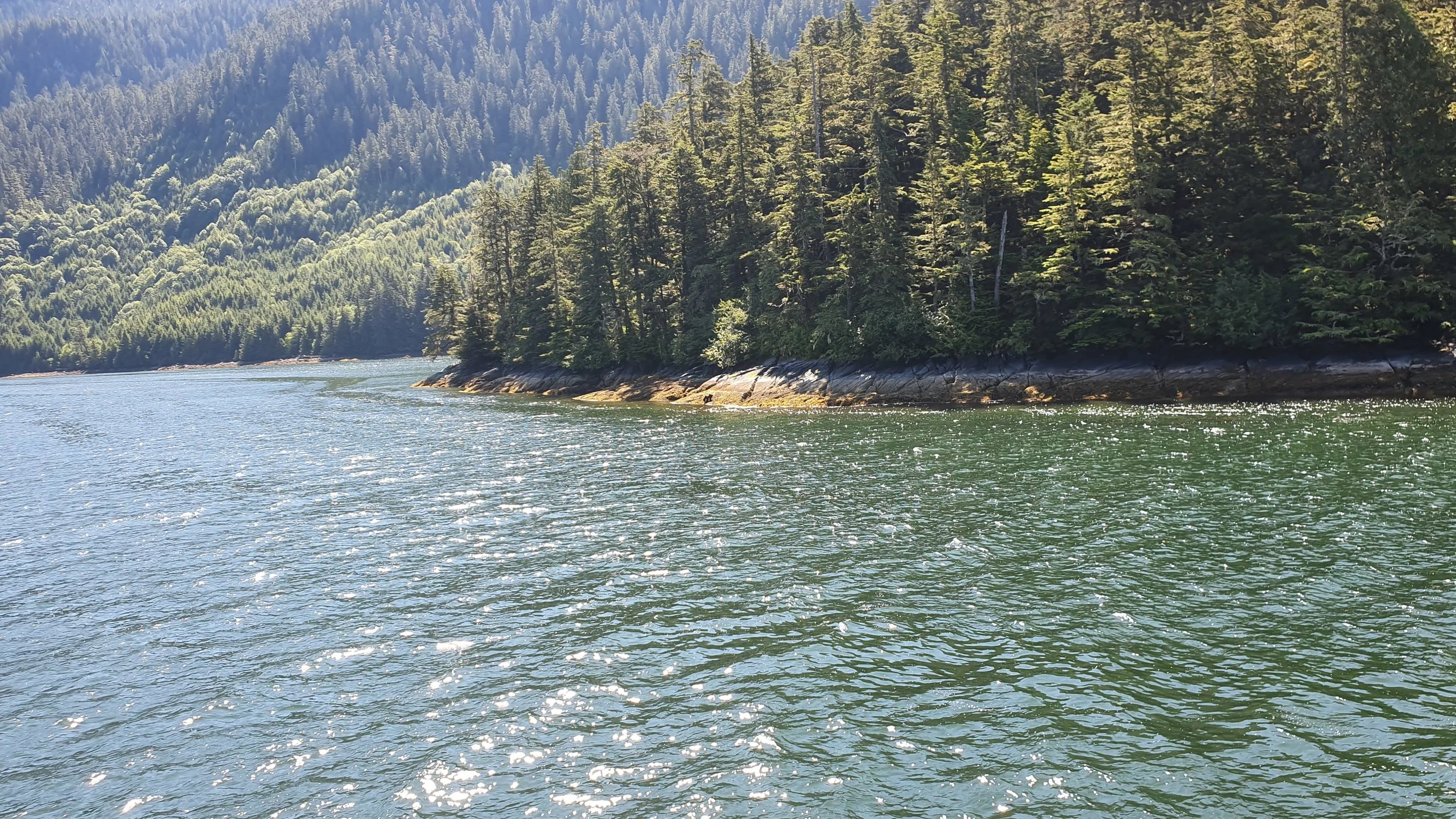 20190626_112827.jpg