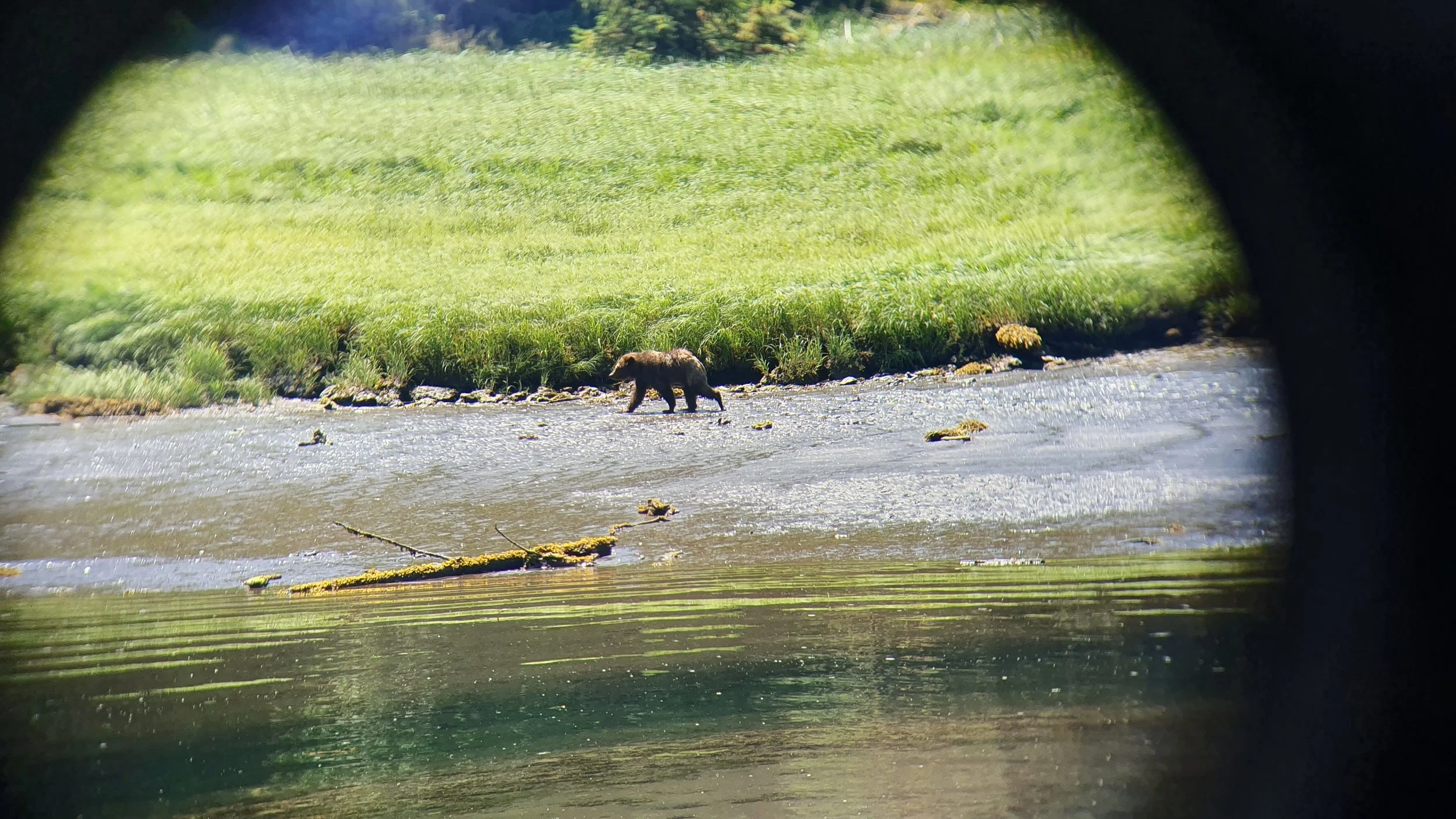20190626_125156.jpg