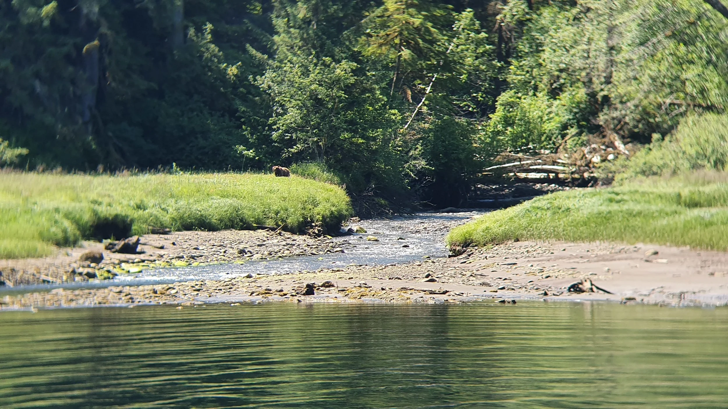 20190626_131613.jpg