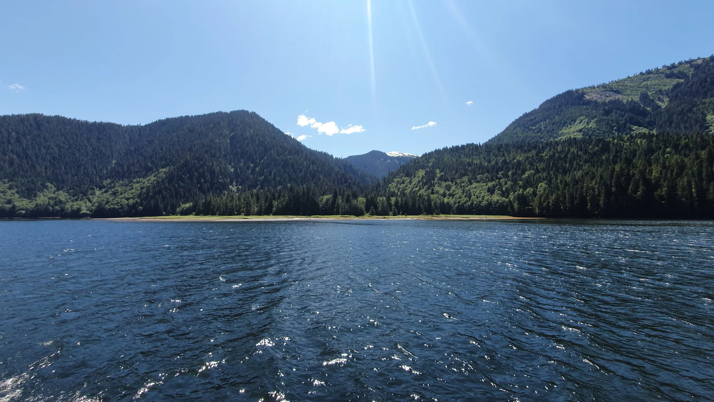 20190626_133154.jpg