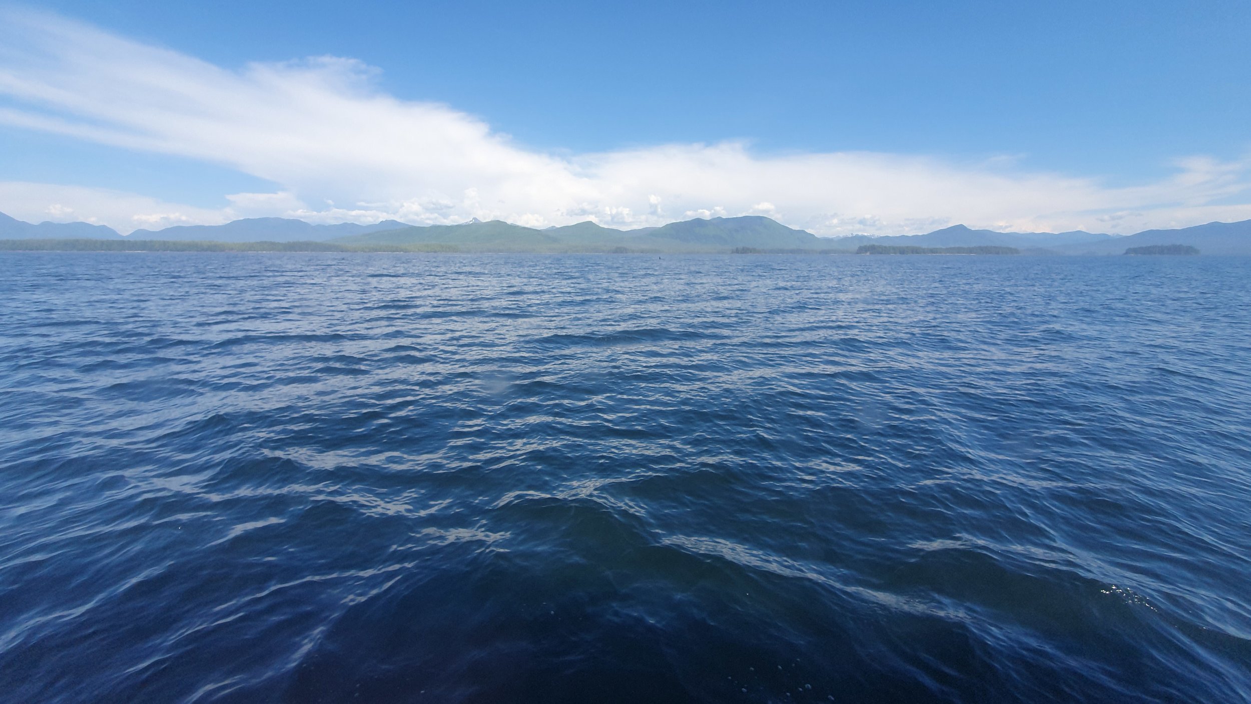 20190626_155535.jpg