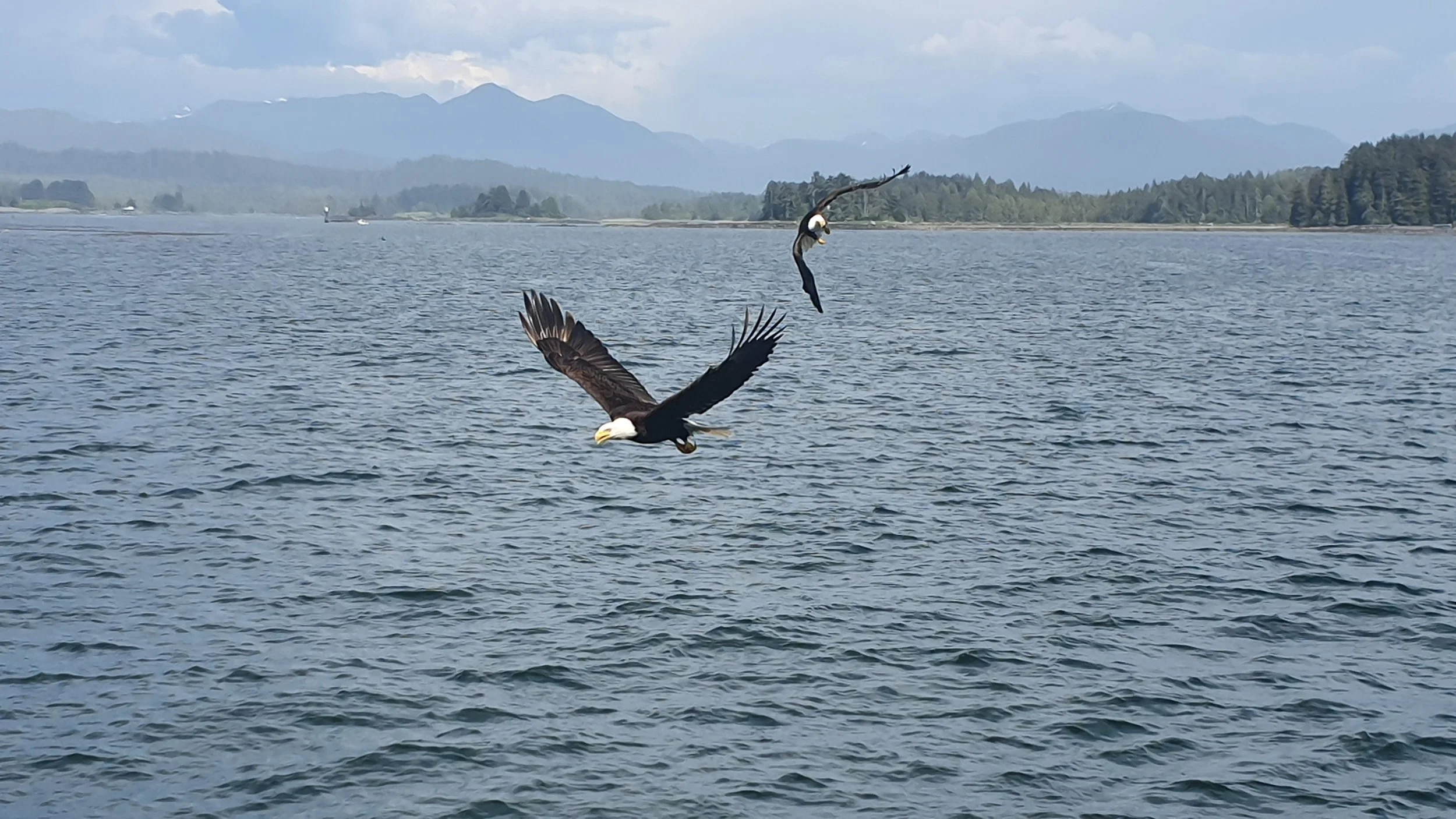 20190626_164456.jpg