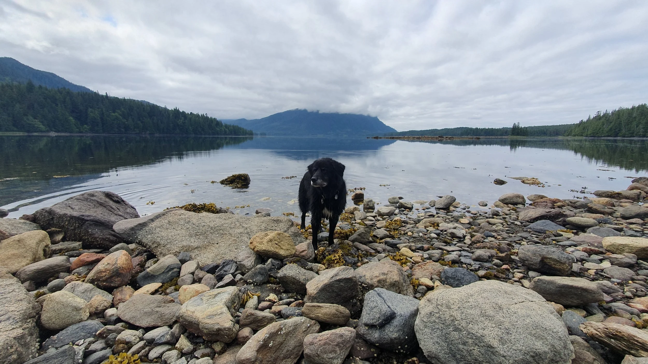 20190628_104004.jpg