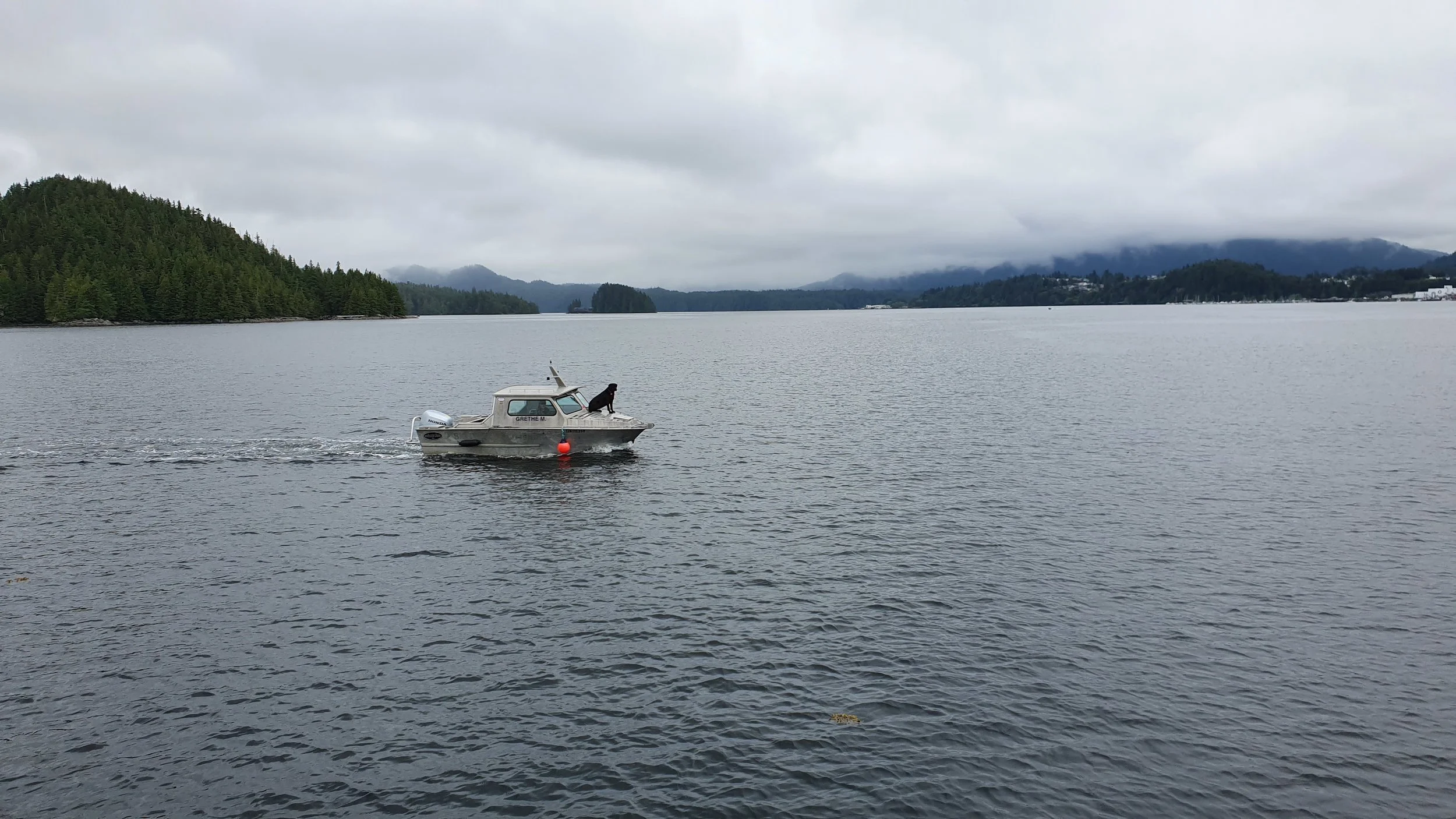 20190629_120630.jpg