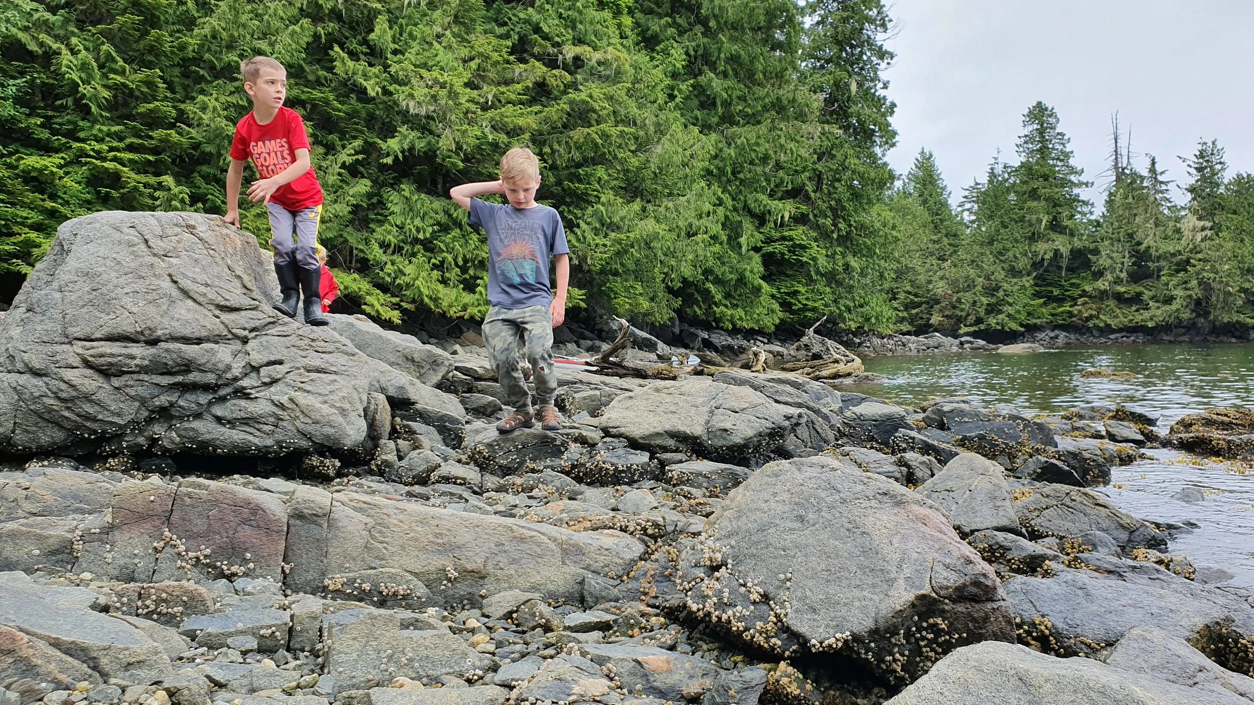 20190629_125320.jpg