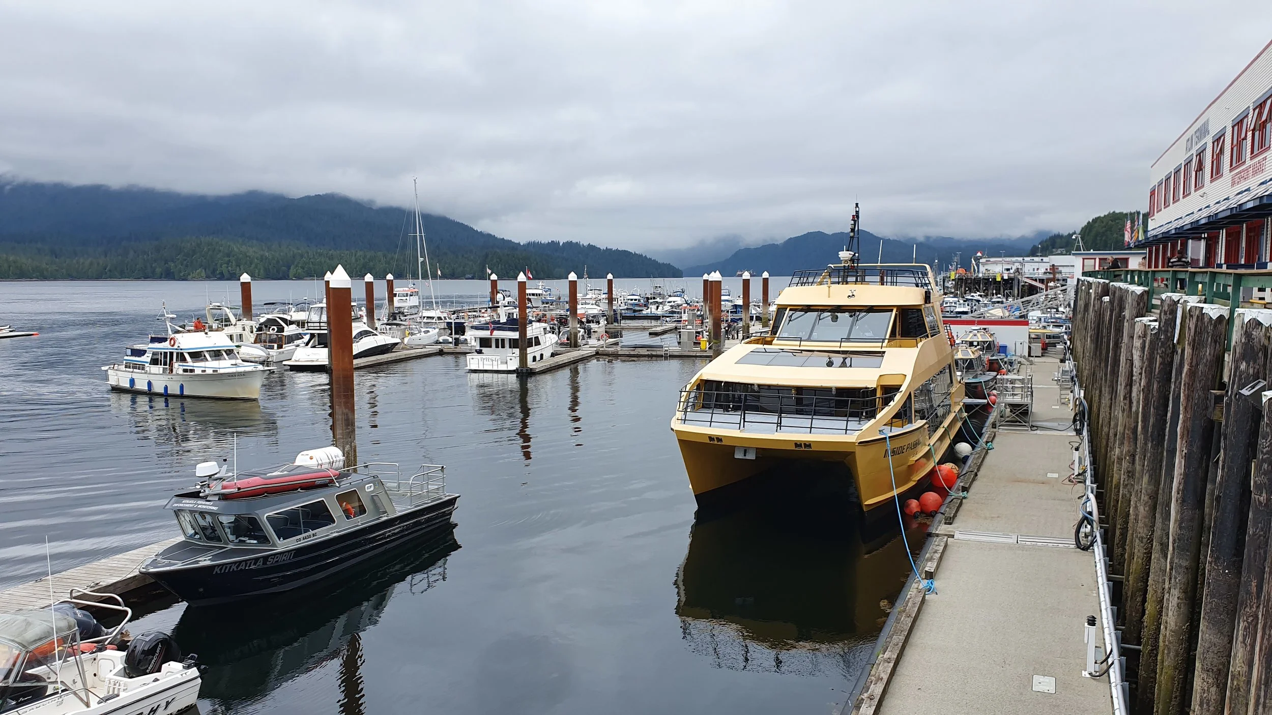 20190629_161731.jpg