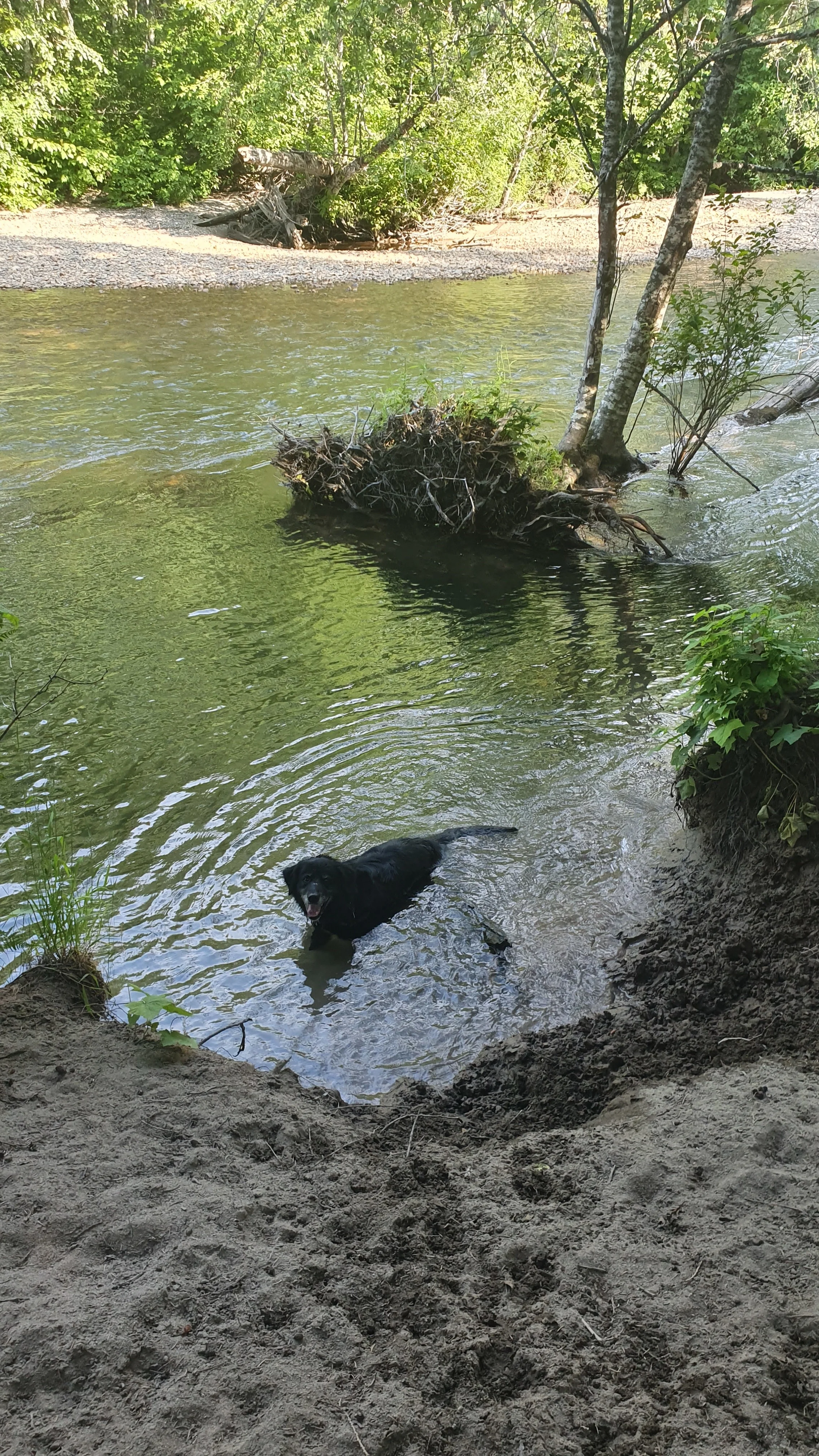 20190630_173008.jpg