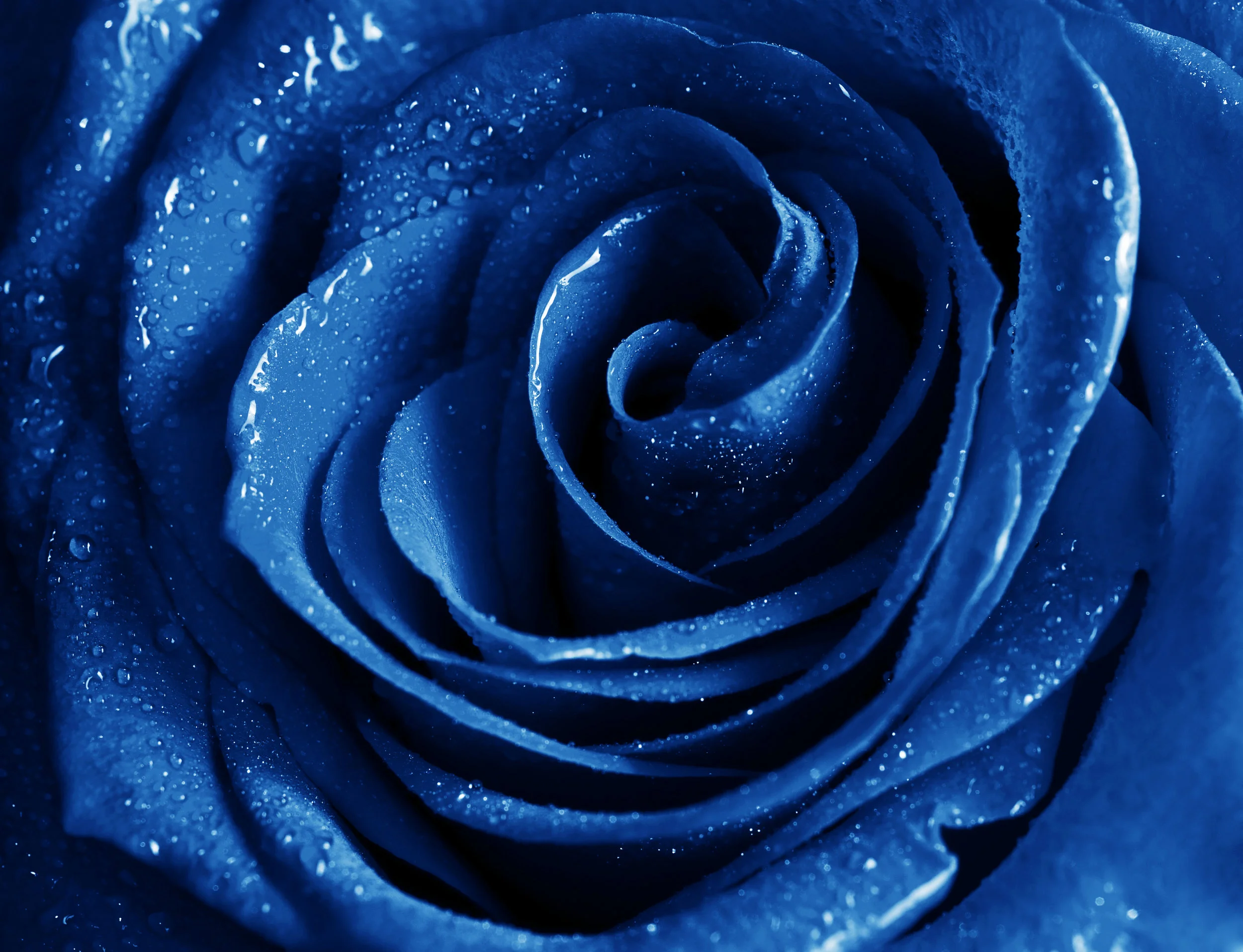 shutterstock_69147547.jpg