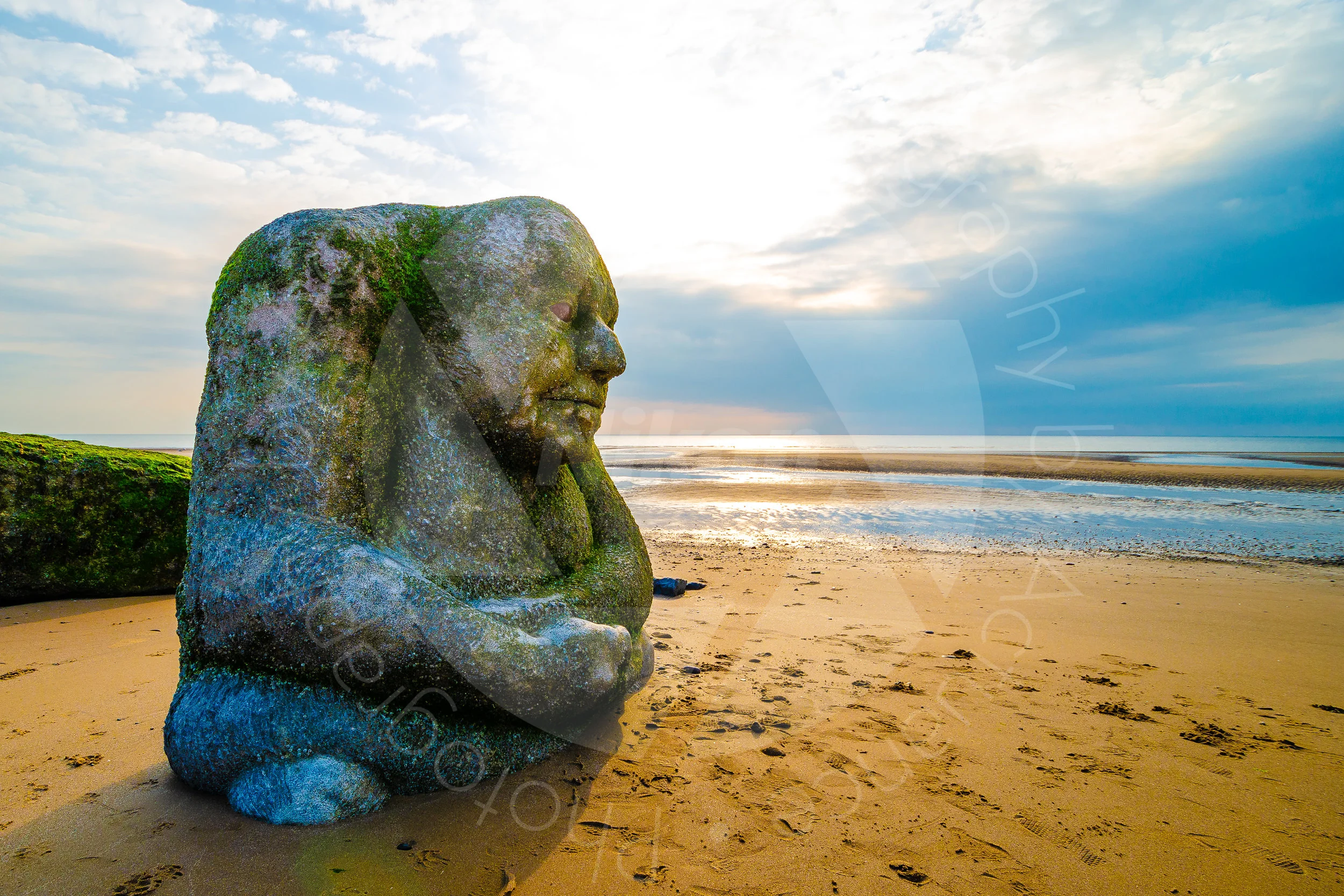 20180604 Marys Shell-8.JPG