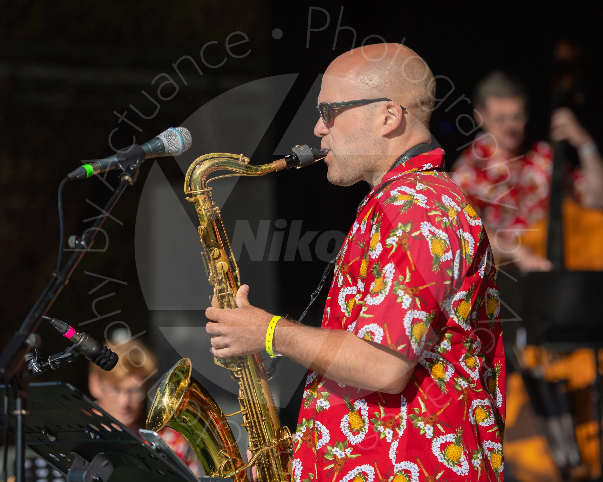 Twinwood Festival 2018 #