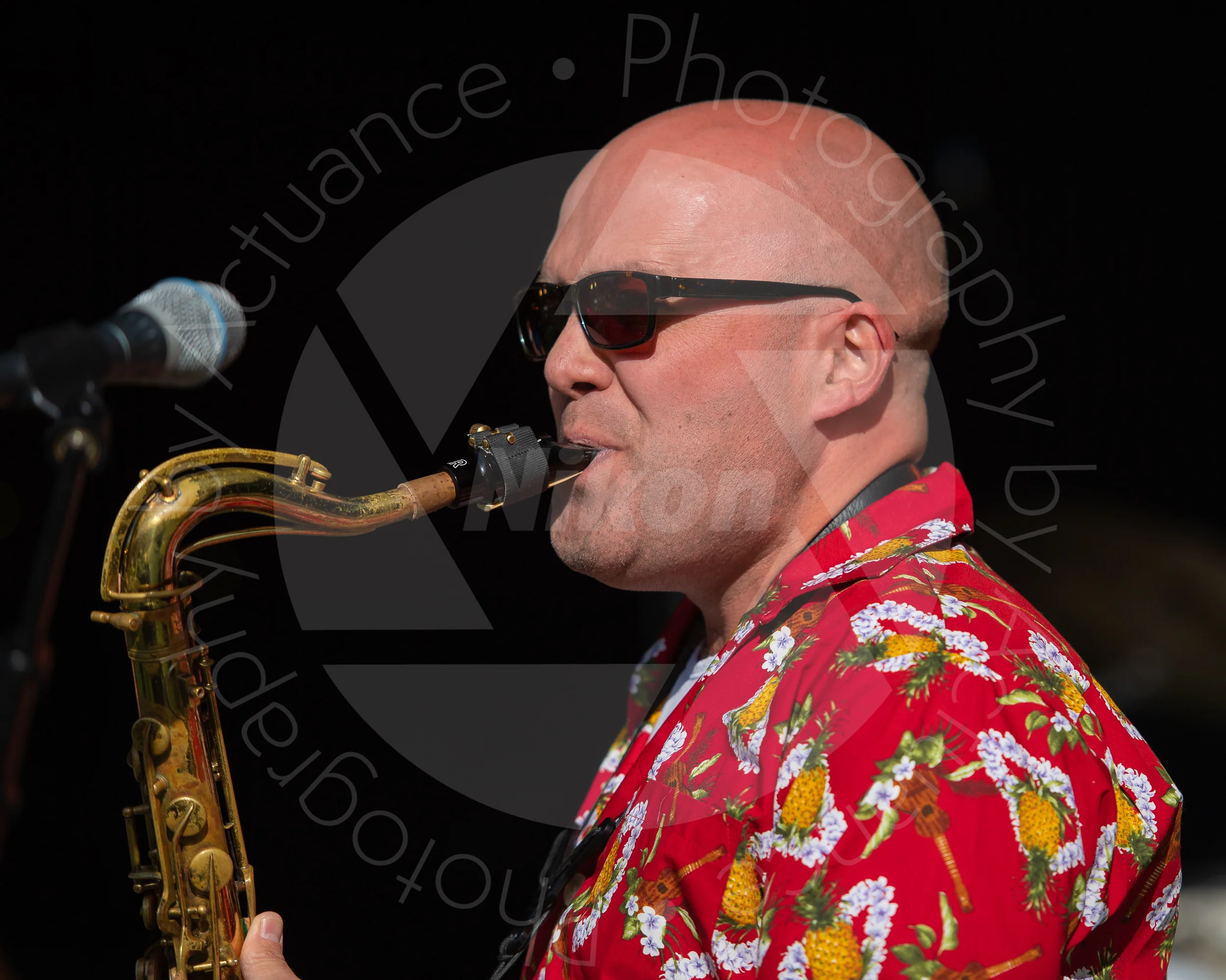  Twinwood Festival 2018 #0873 