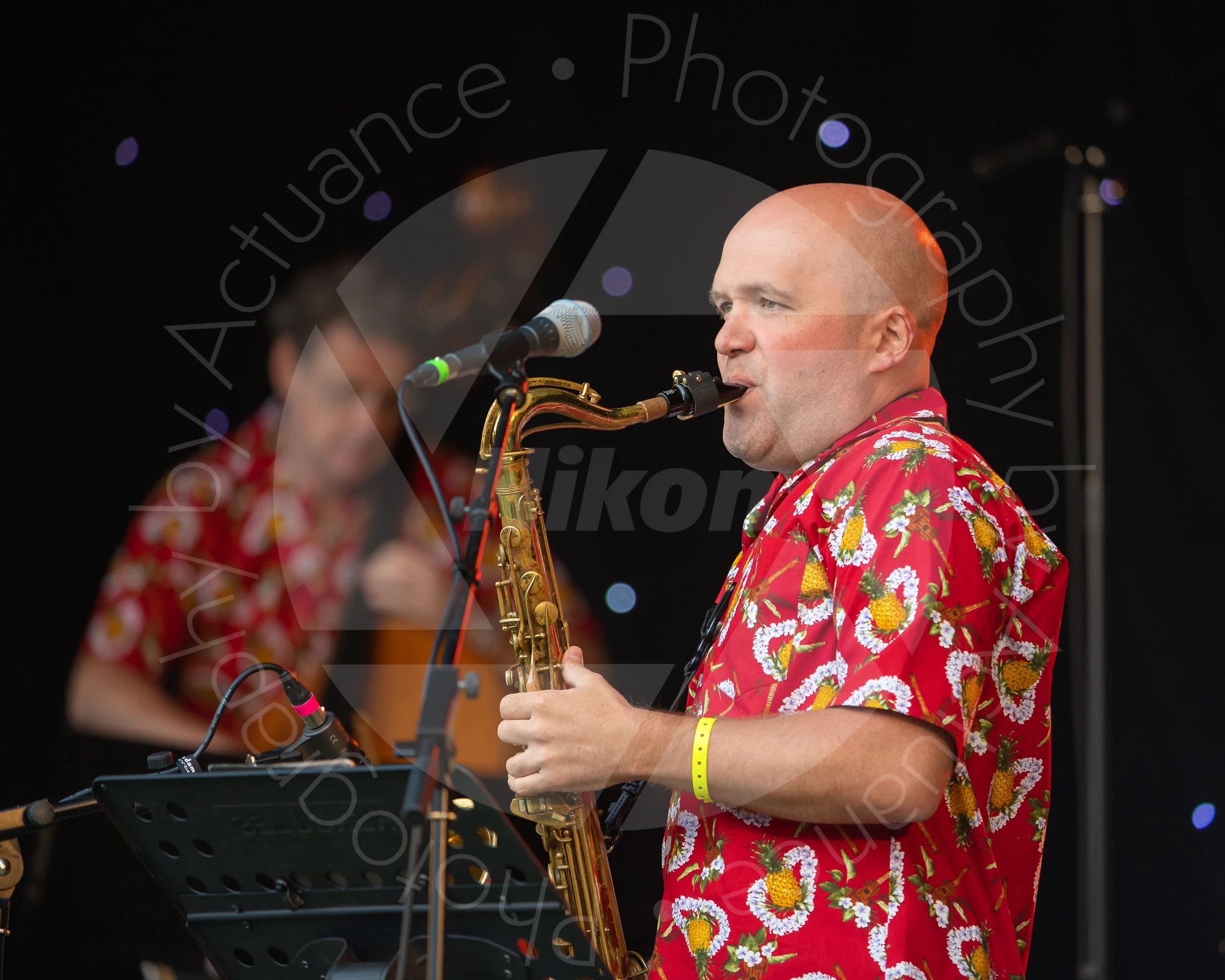  Twinwood Festival 2018 #0950 