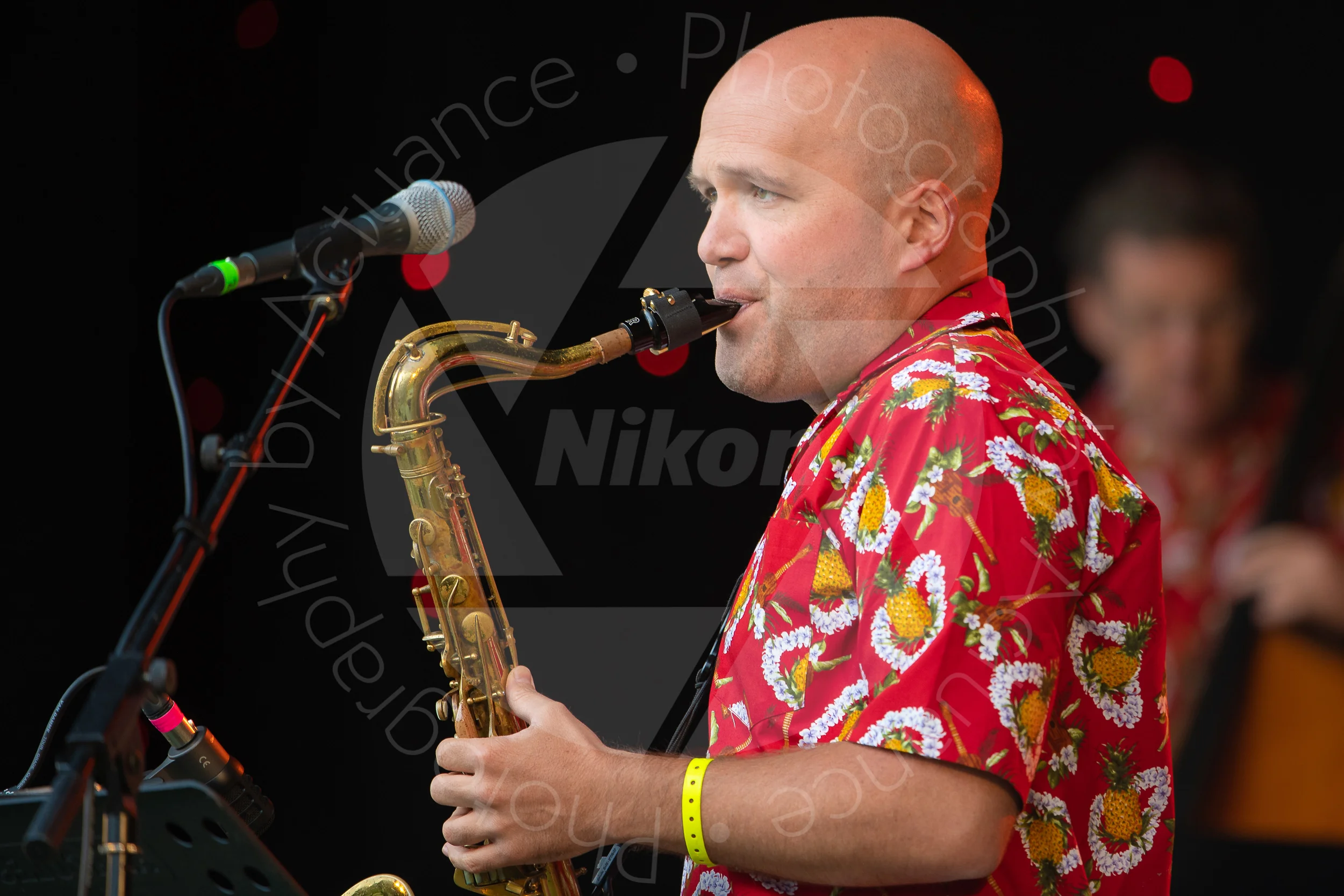  Twinwood Festival 2018 #0951 