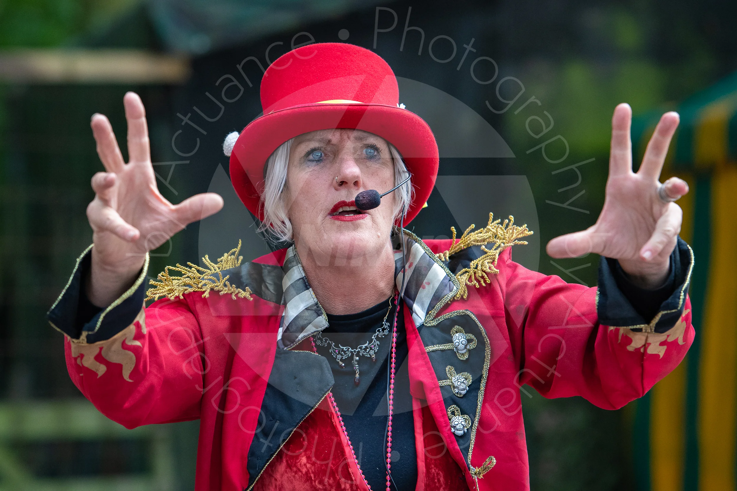 Twinwood Festival 2018 #3502