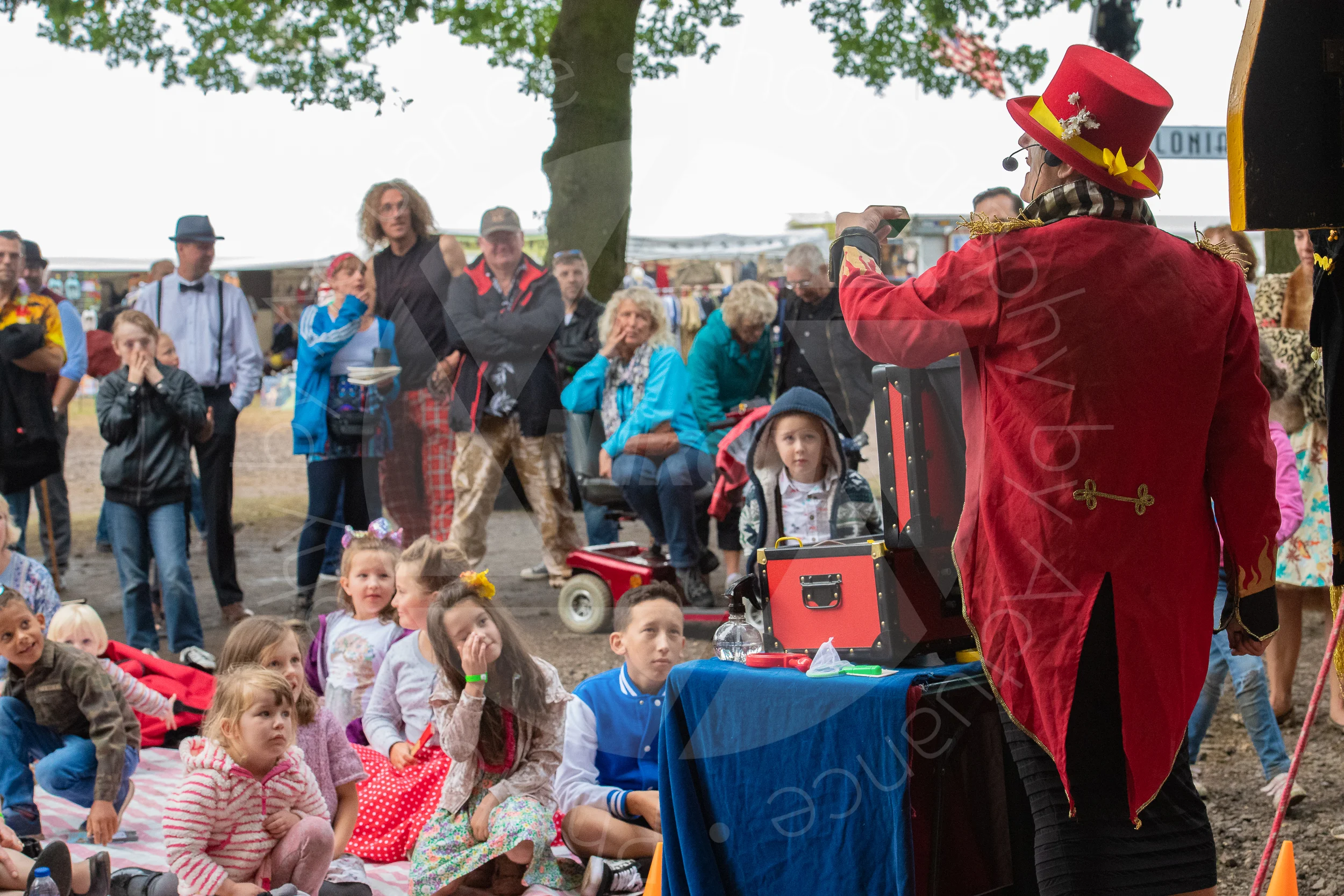 Twinwood Festival 2018 #3510
