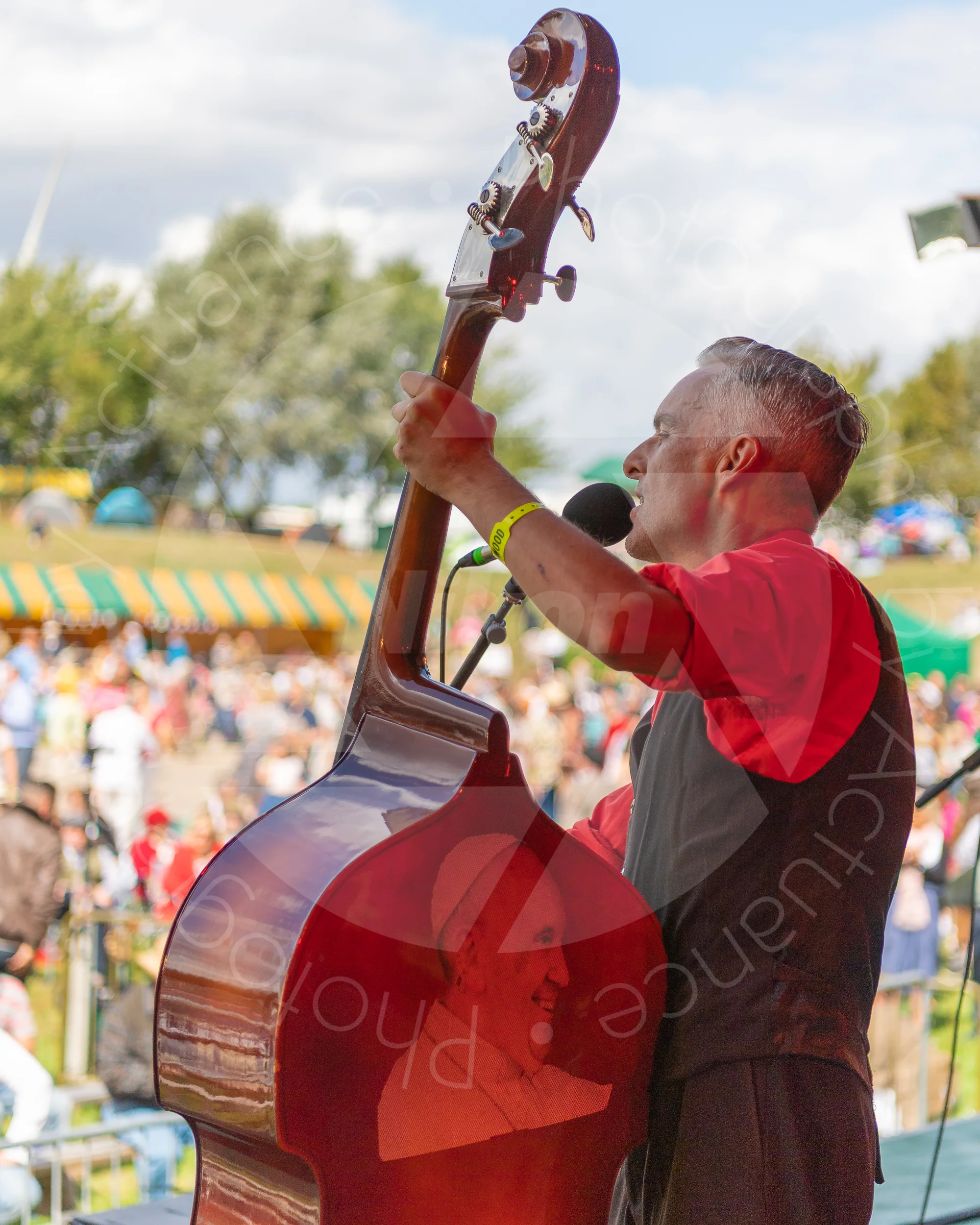 Twinwood Festival 2018 #1209