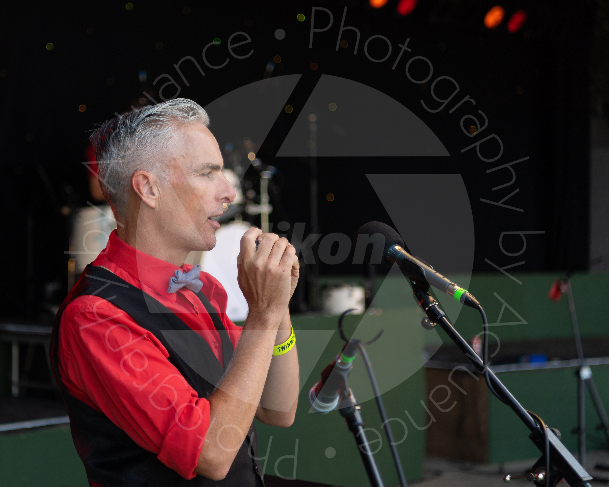 Twinwood Festival 2018 #1218