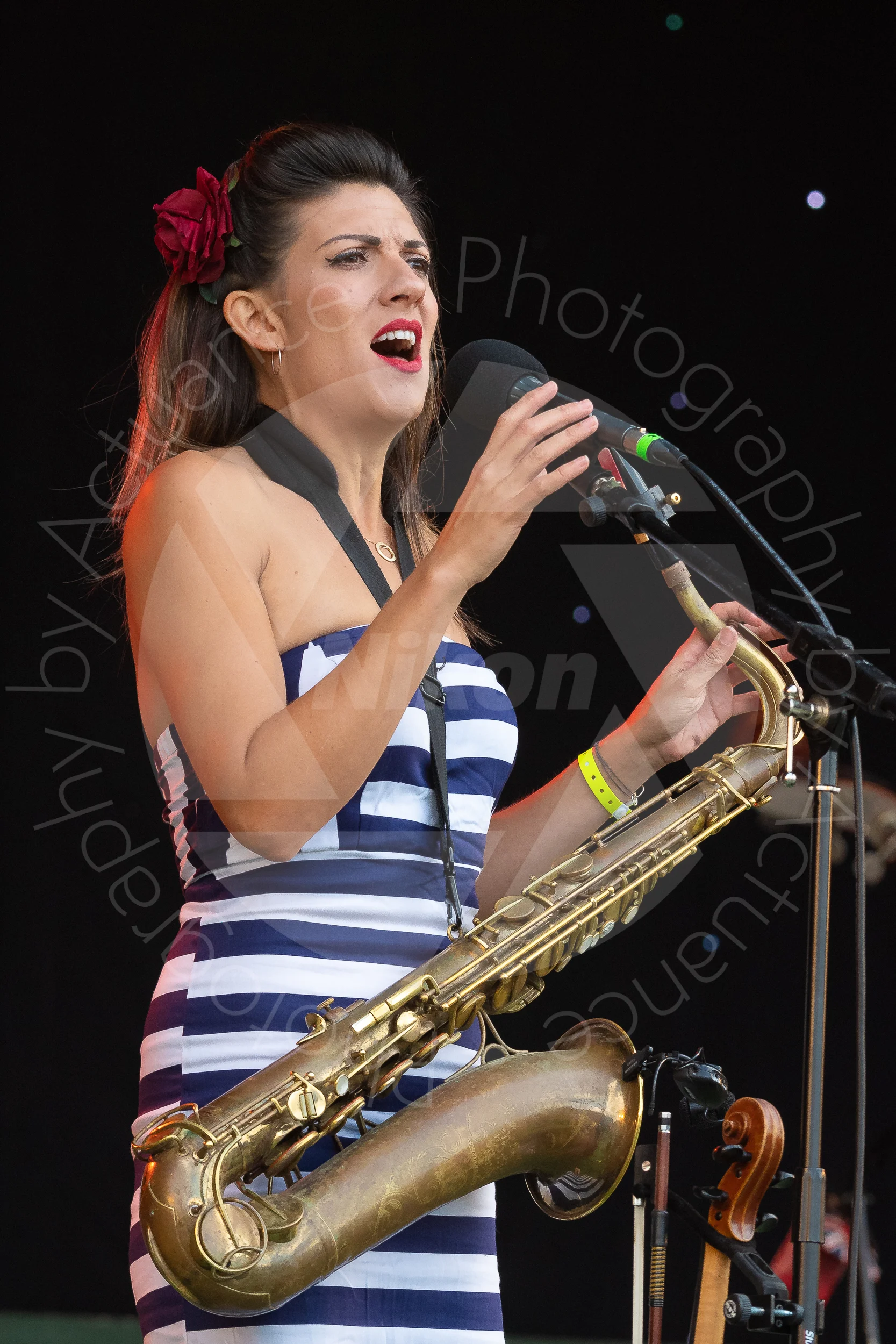 Twinwood Festival 2018 #1248