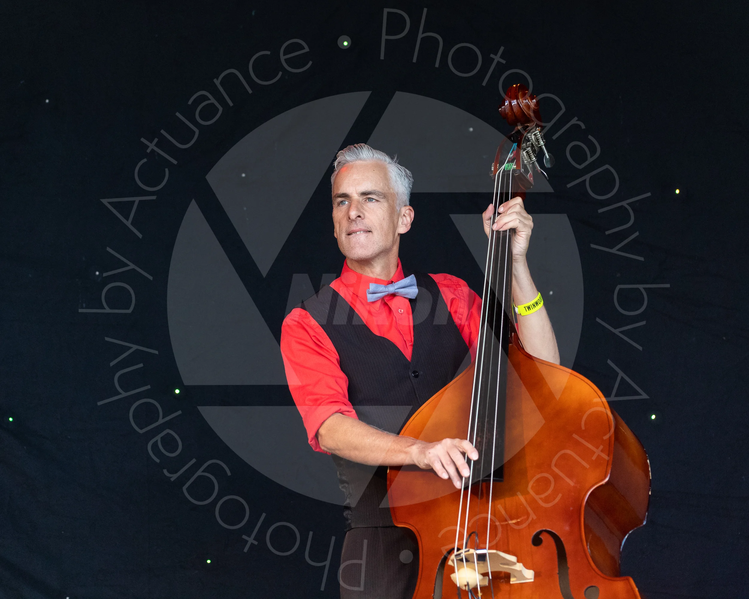 Twinwood Festival 2018 #1261