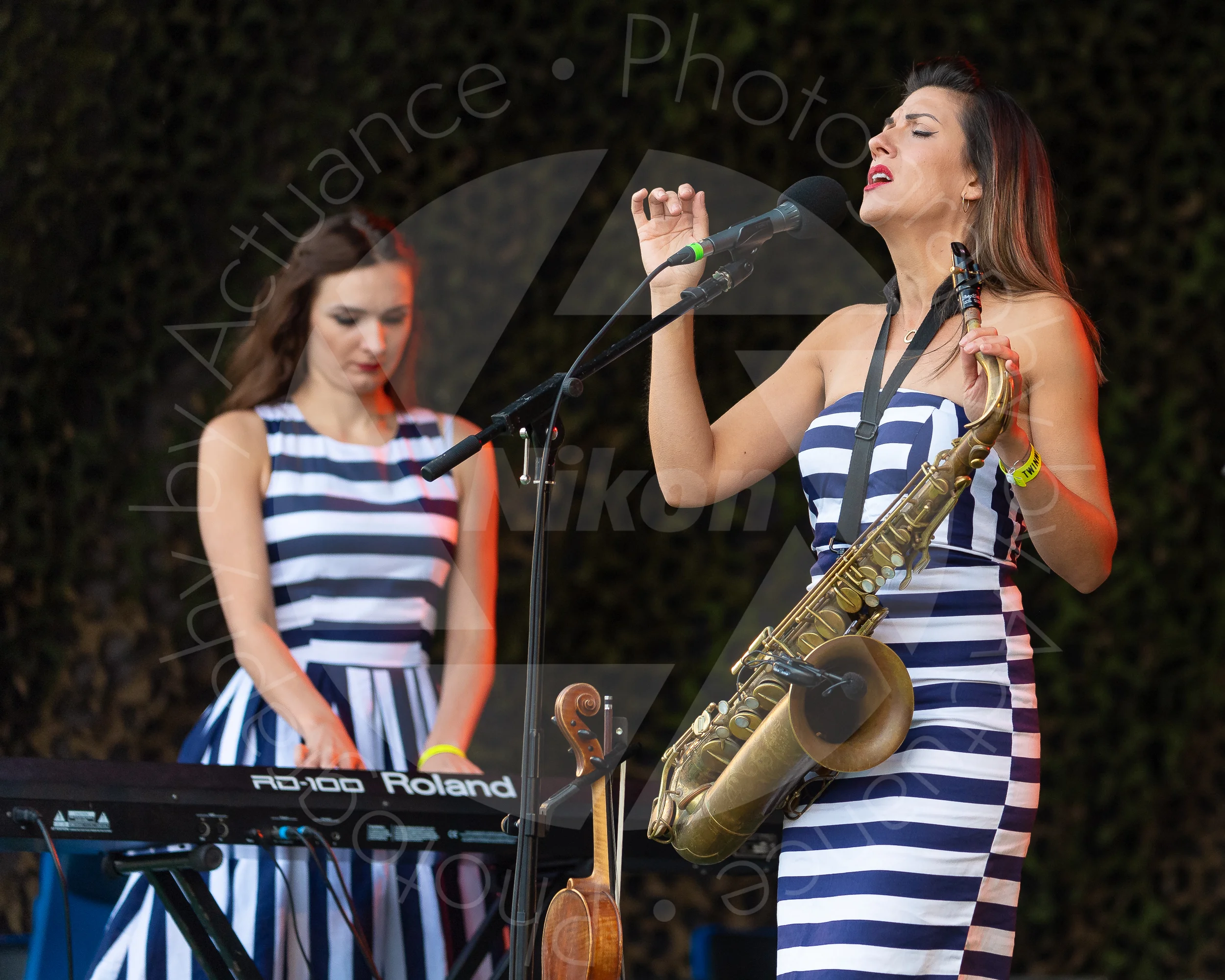 Twinwood Festival 2018 #1267