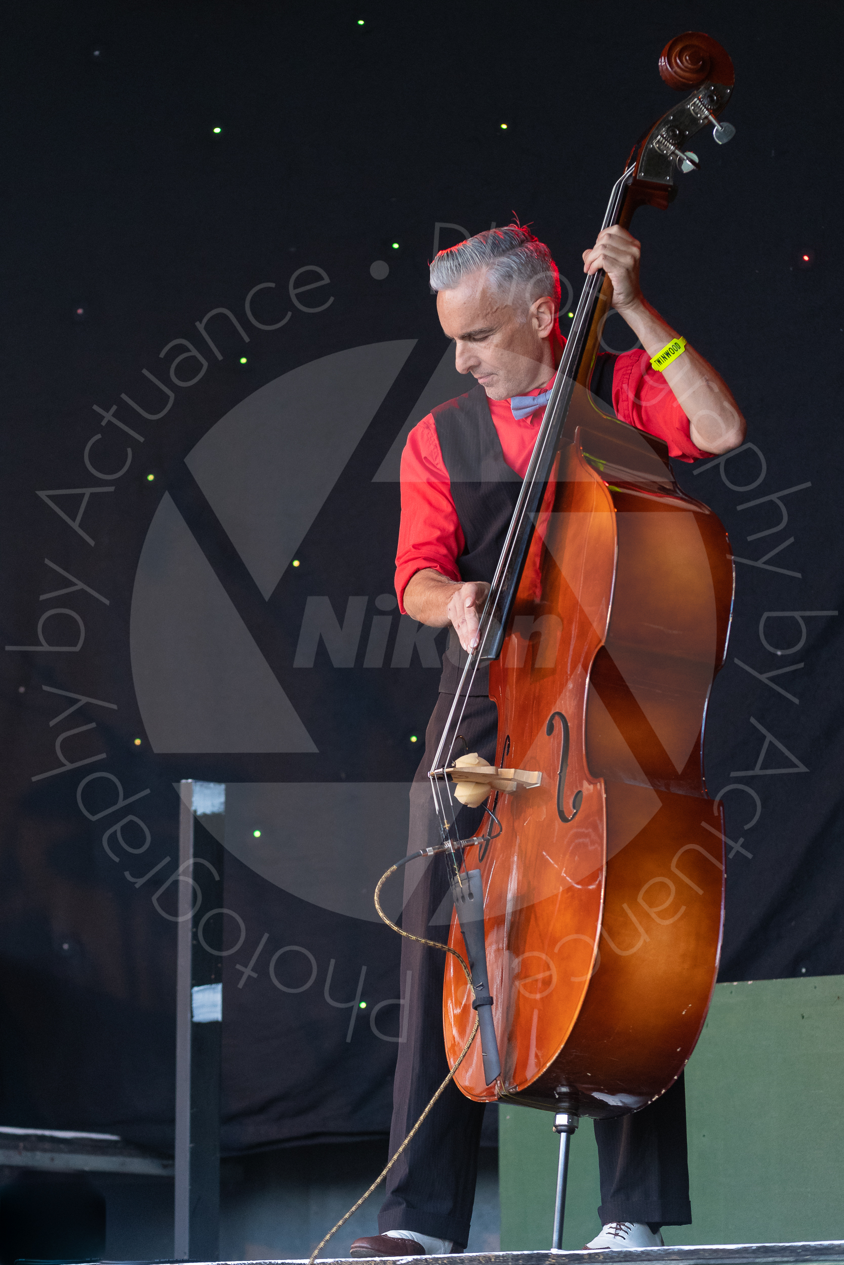 Twinwood Festival 2018 #1270
