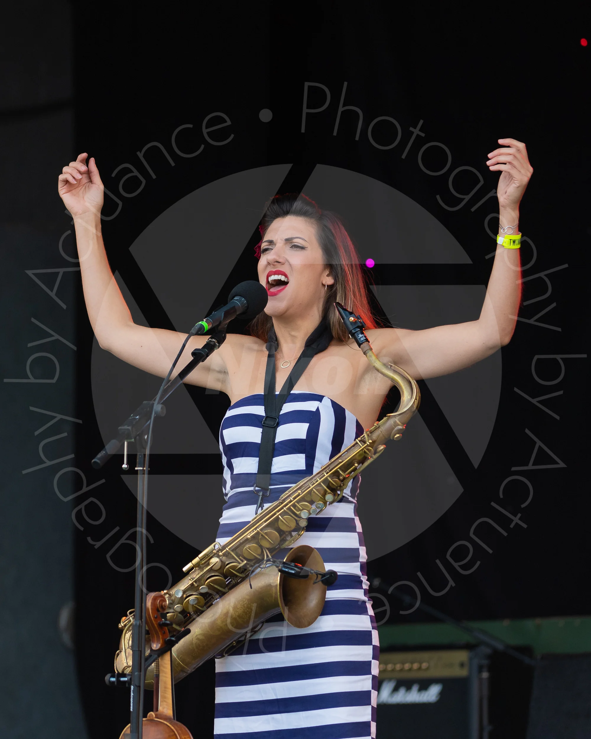 Twinwood Festival 2018 #1281