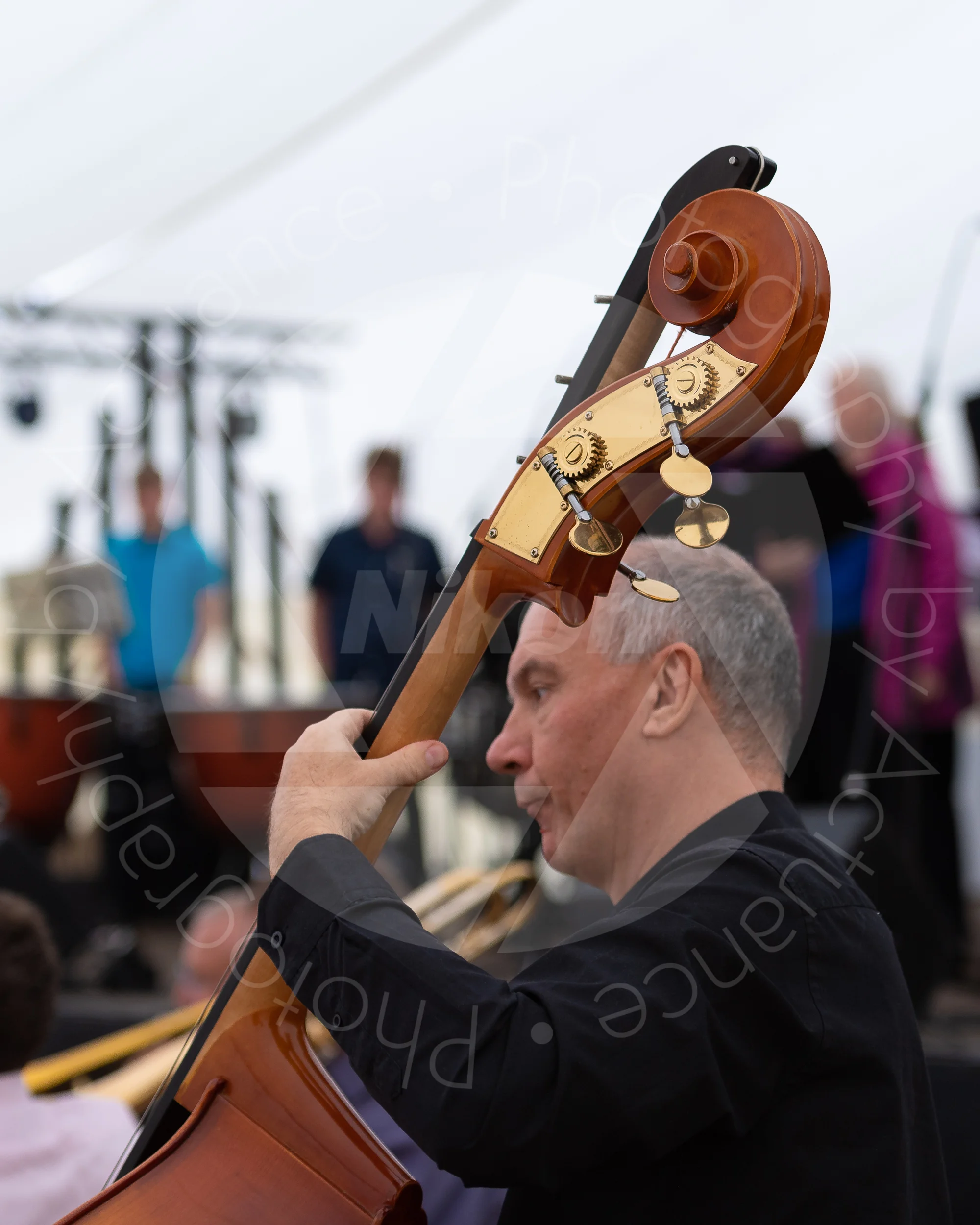 Twinwood Festival 2018 #1322