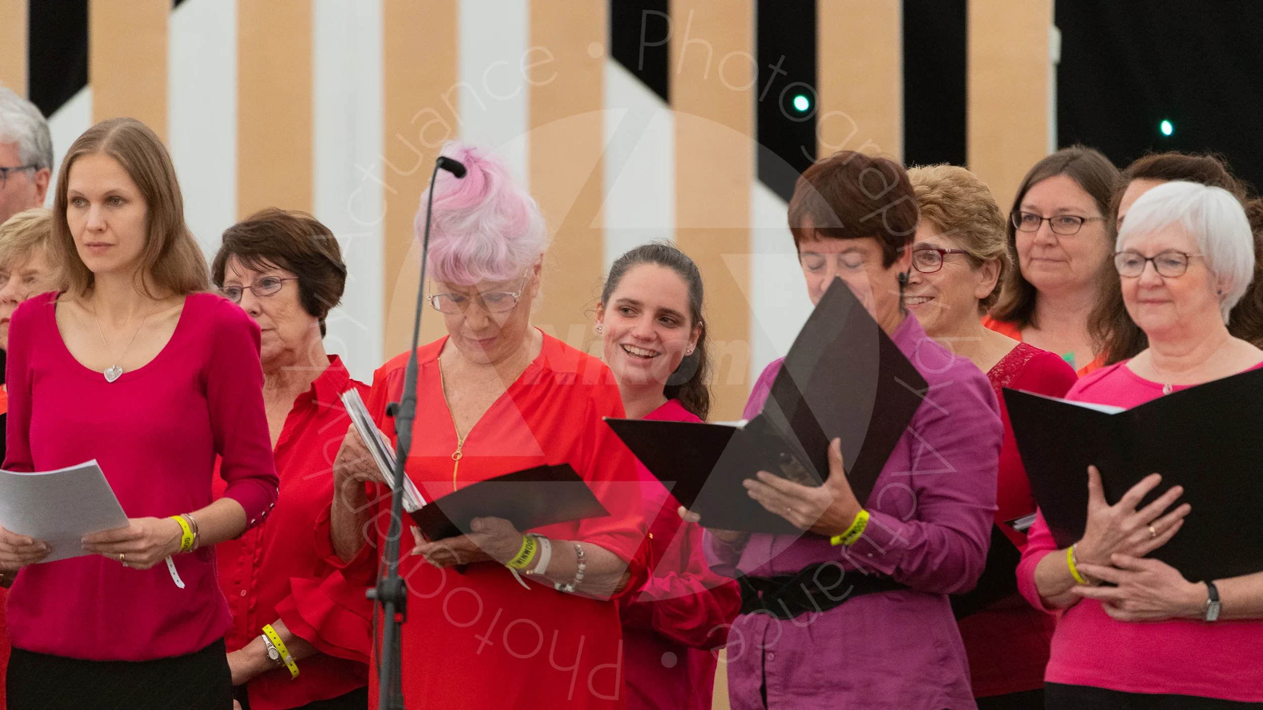 Twinwood Festival 2018 #1439