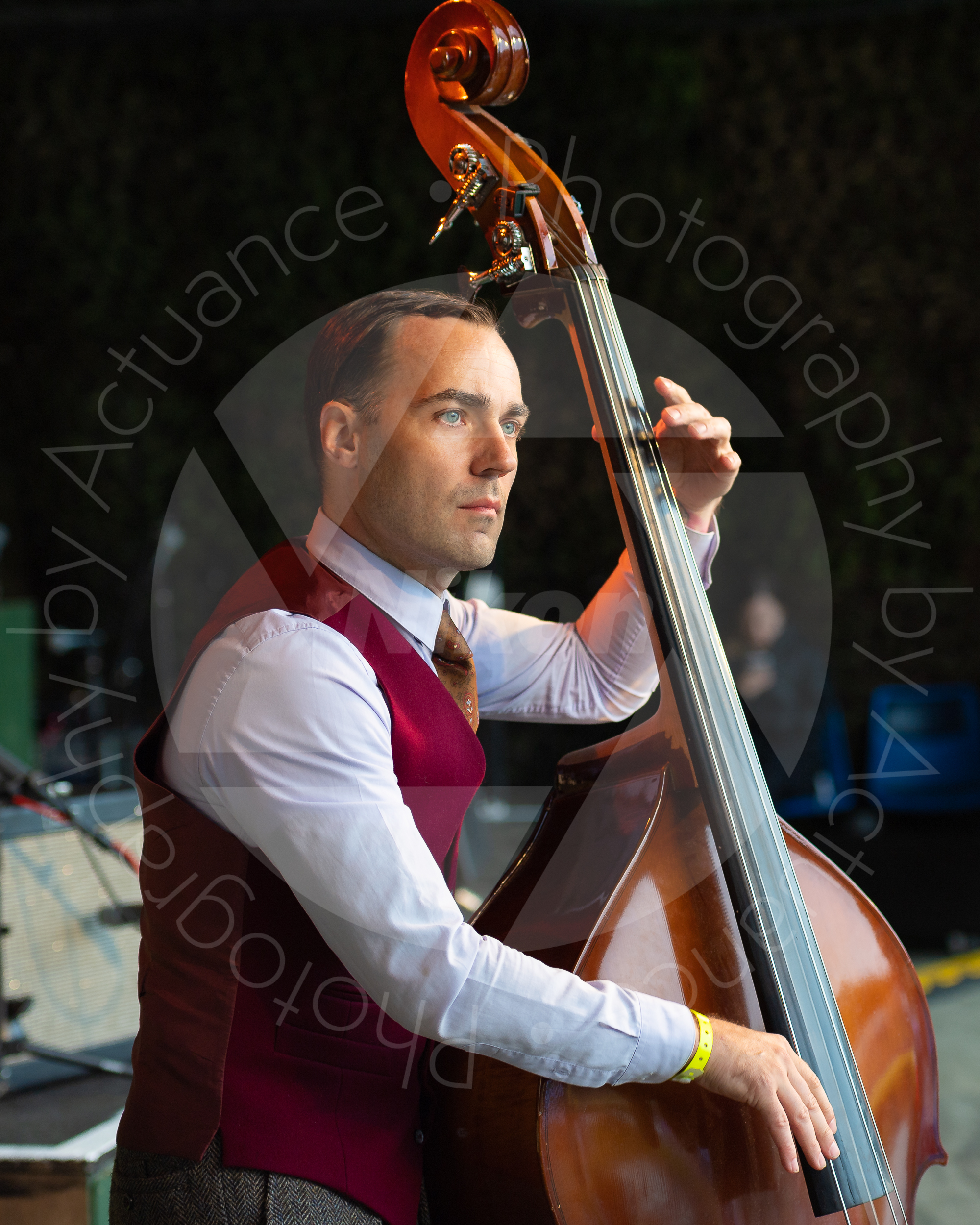 Twinwood Festival 2018 #1546