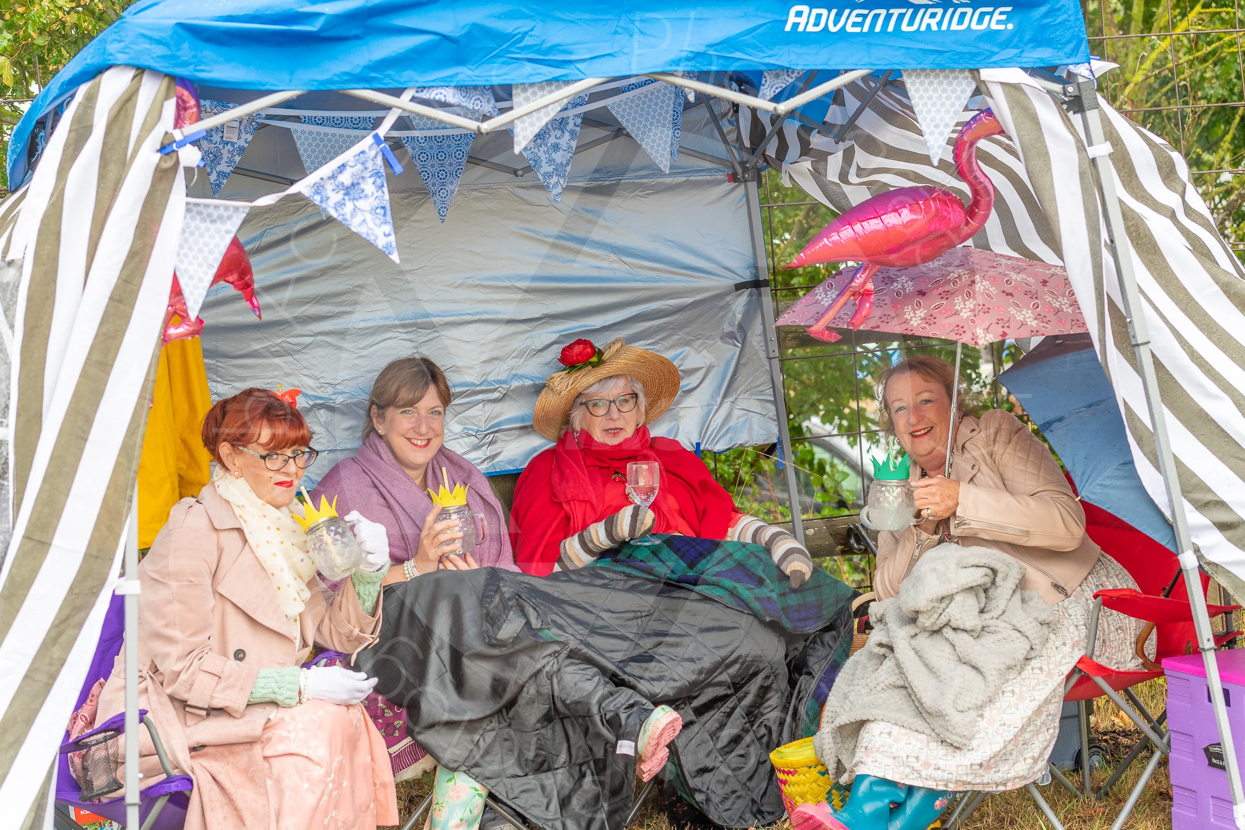 Twinwood Festival 2018 #1554