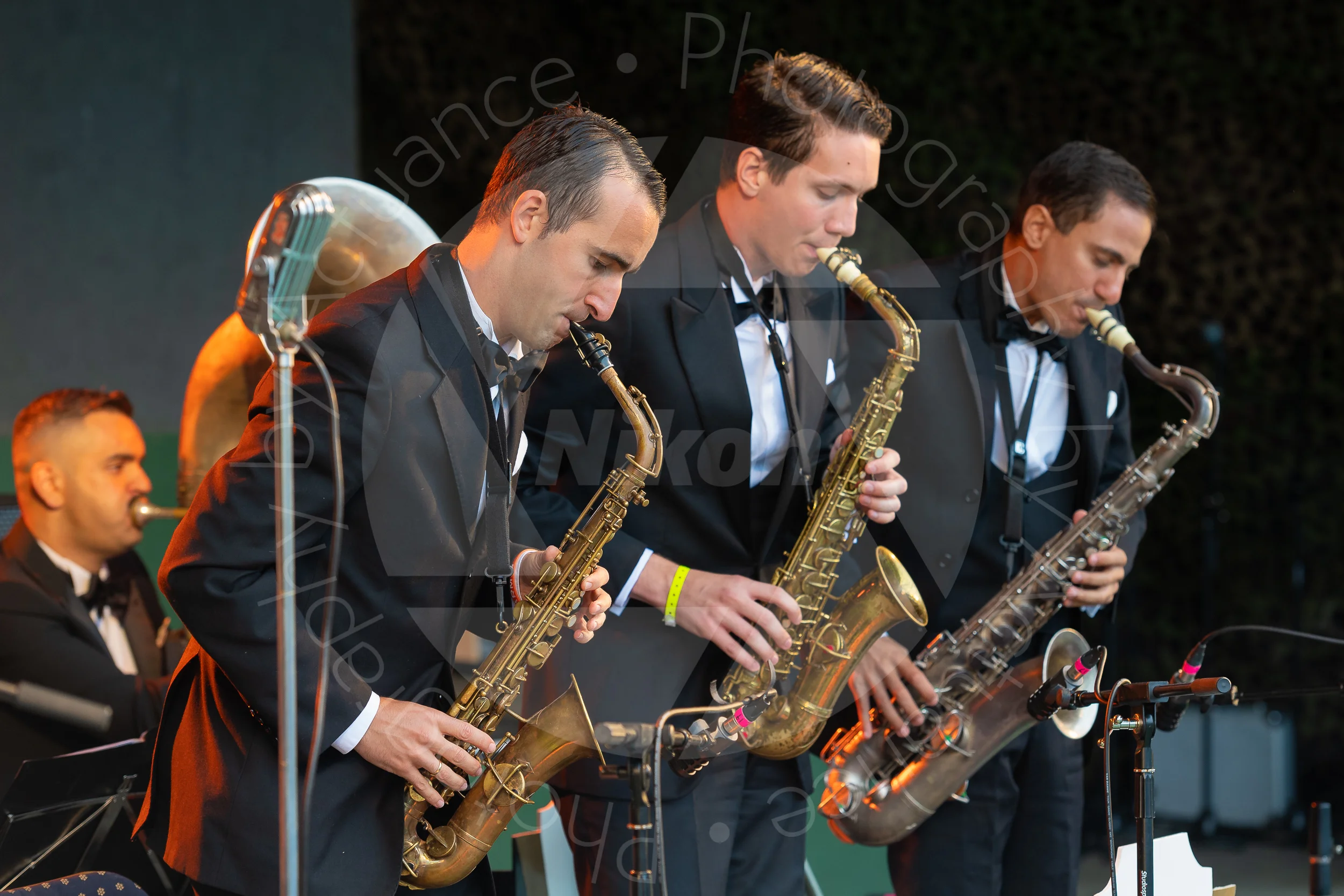 Twinwood Festival 2018 #1632