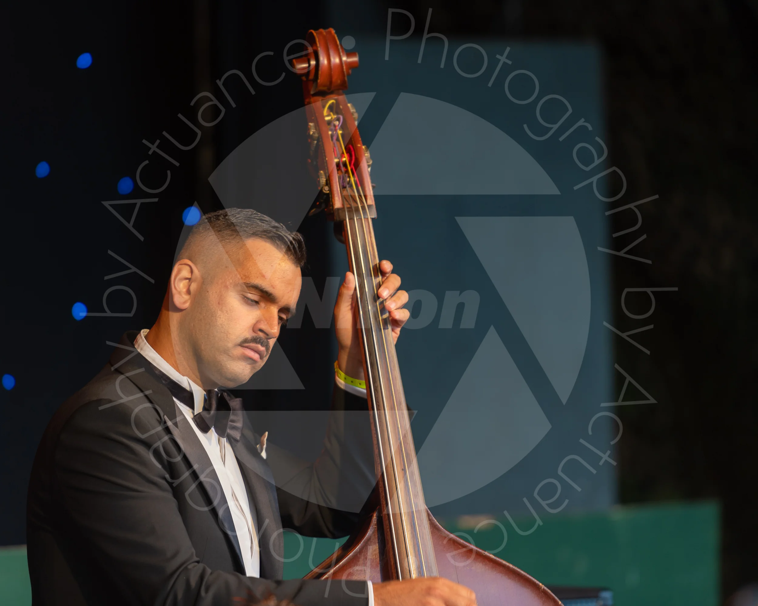Twinwood Festival 2018 #1670